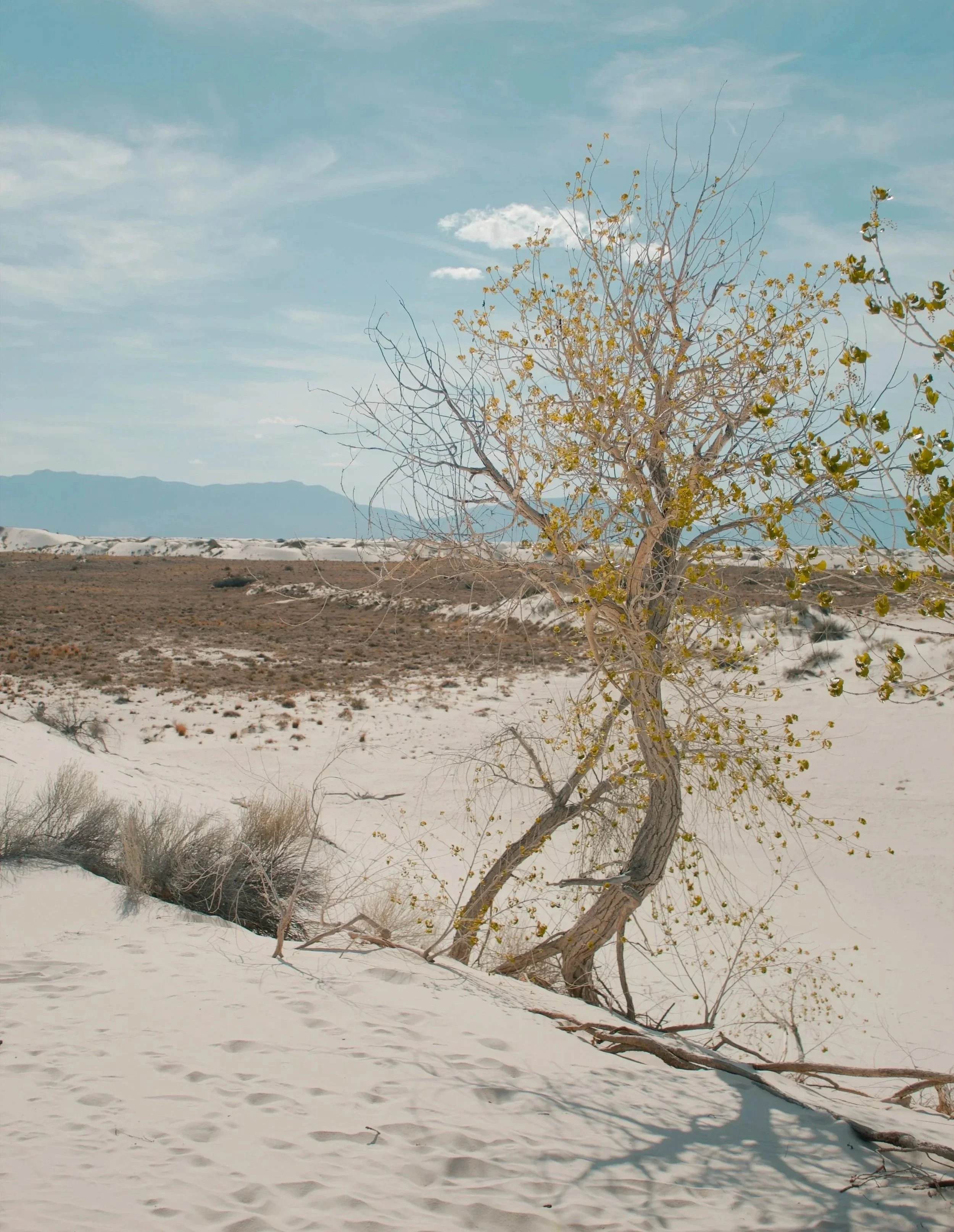 White Sands National Park NM, 2024