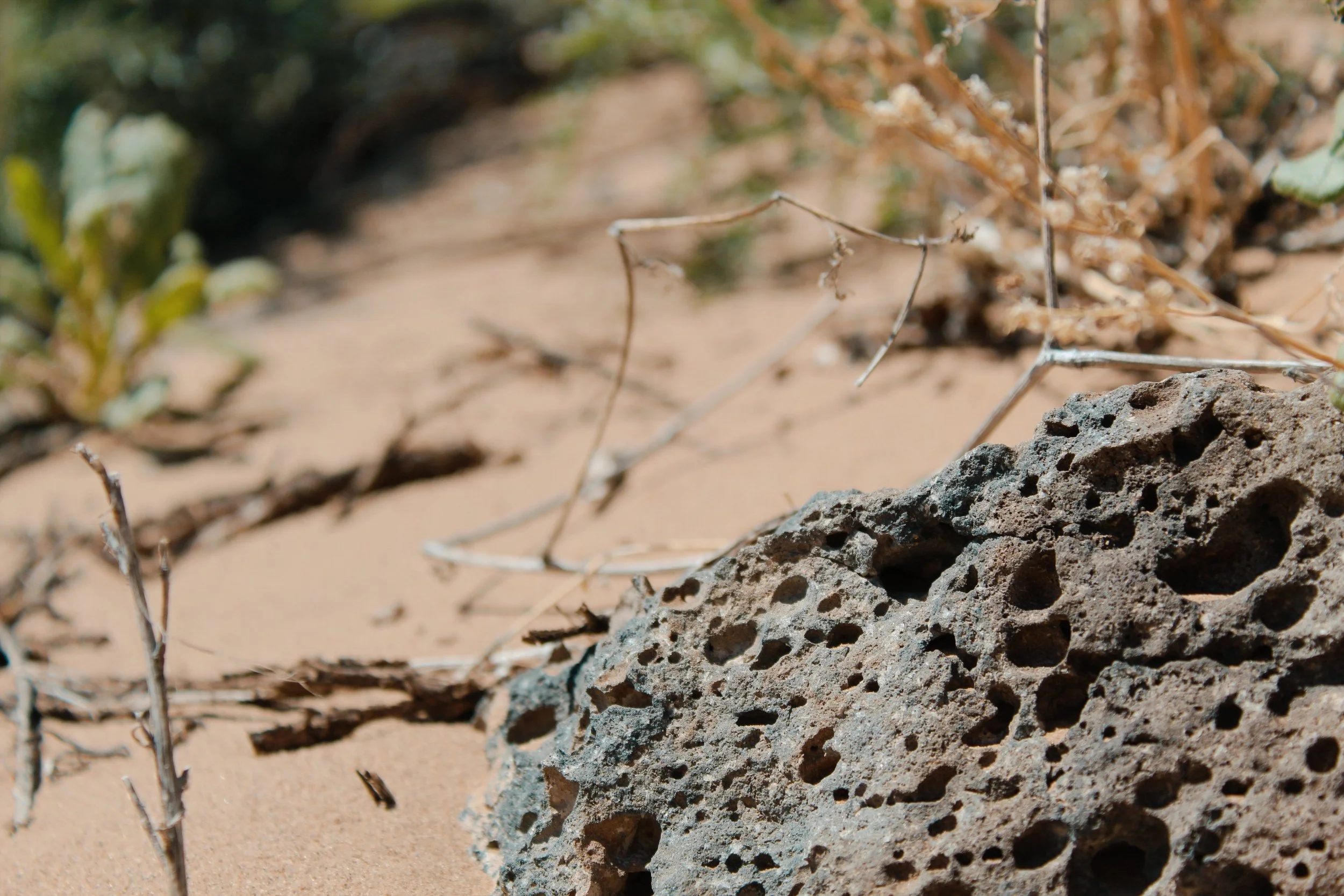 Albuquerque NM, 2024