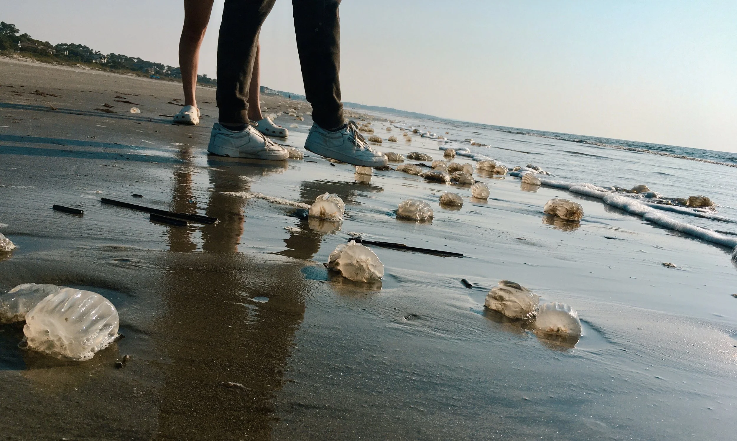 Hilton Head Island SC, 2023