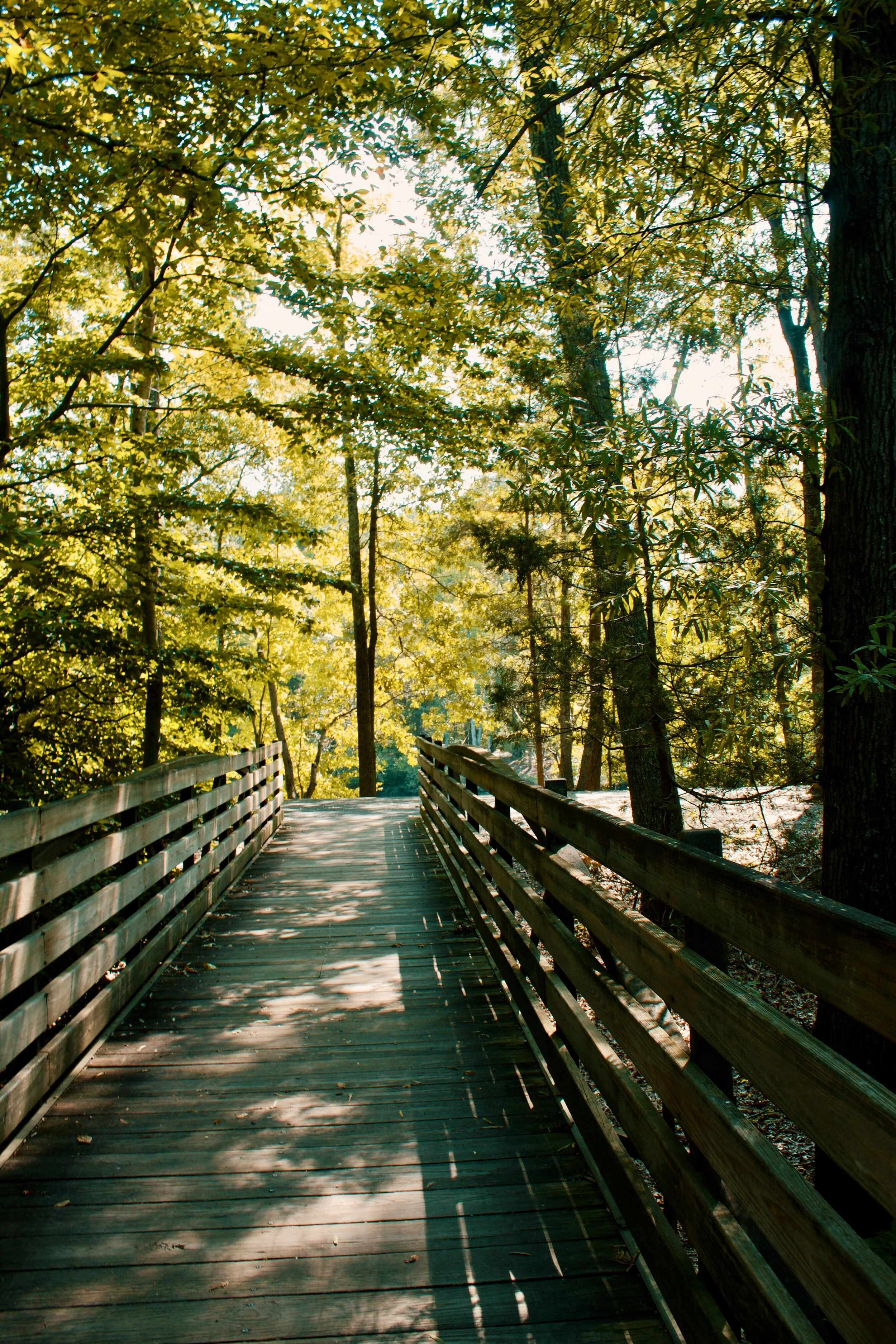 Three Lakes Park VA, 2024