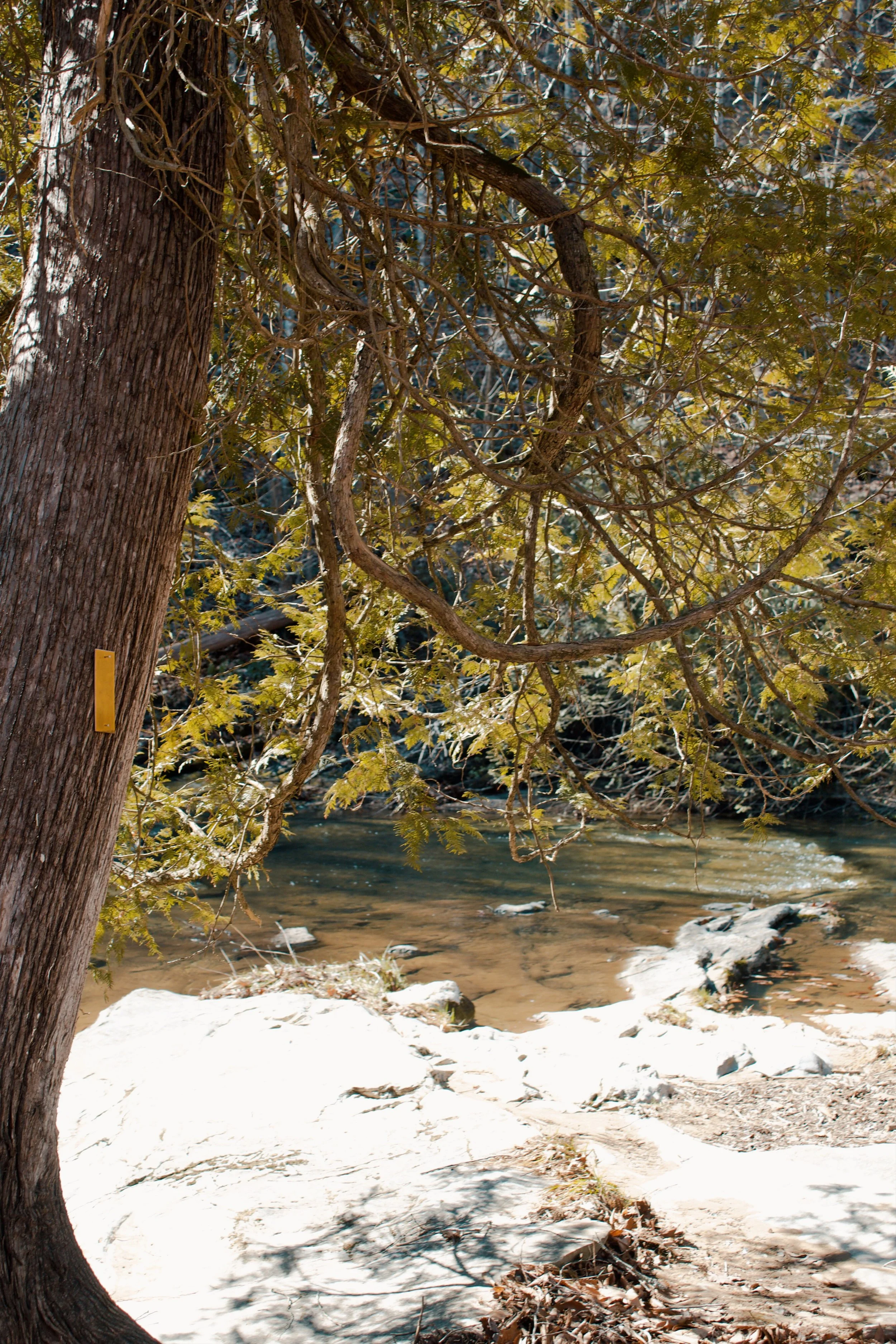 Natural Bridge VA, 2025