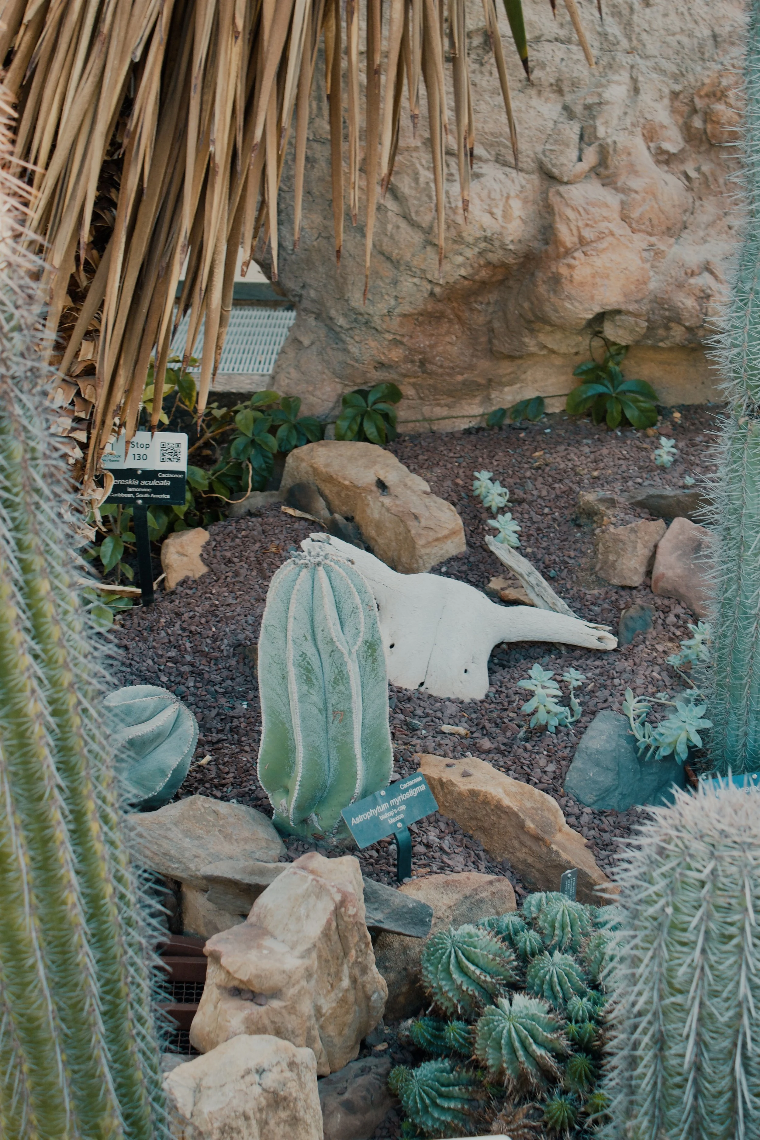 United States Botanic Garden MD, 2024