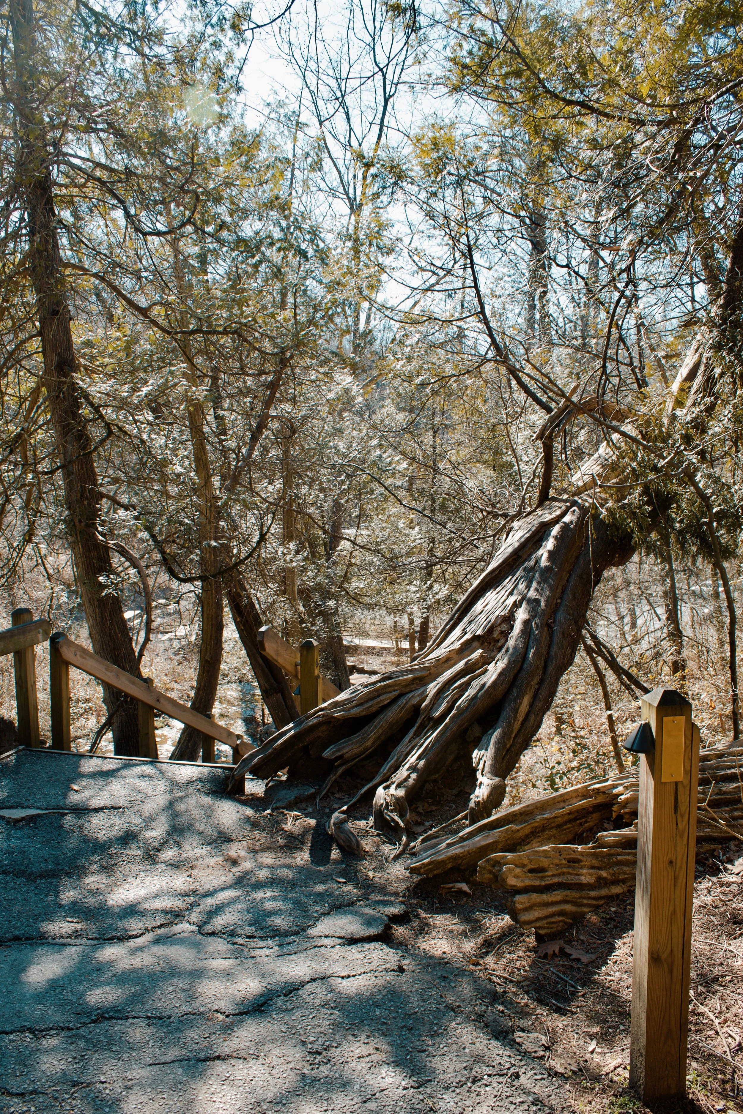 Natural Bridge VA, 2025