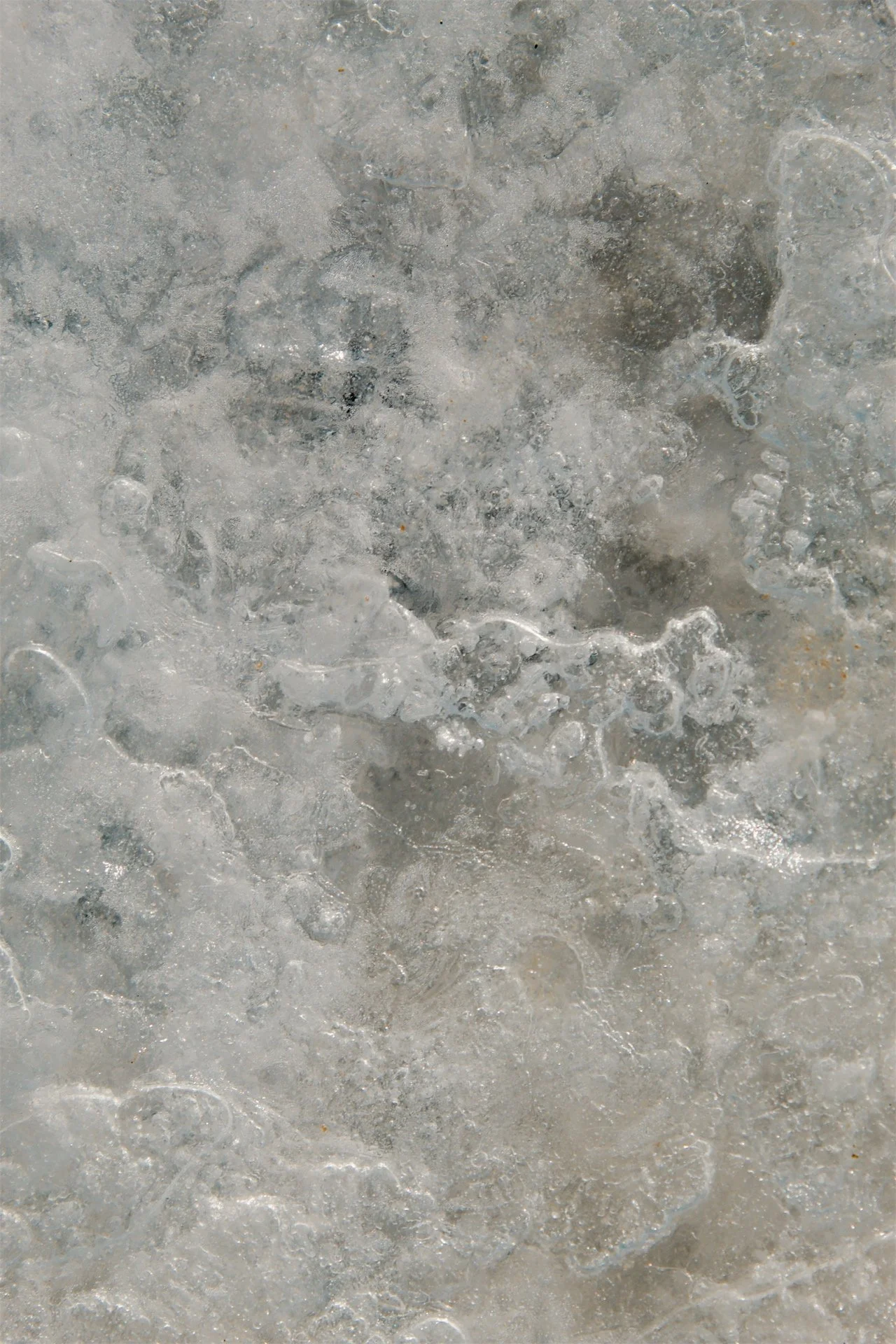 Lake Erie Vermilion OH, 2026