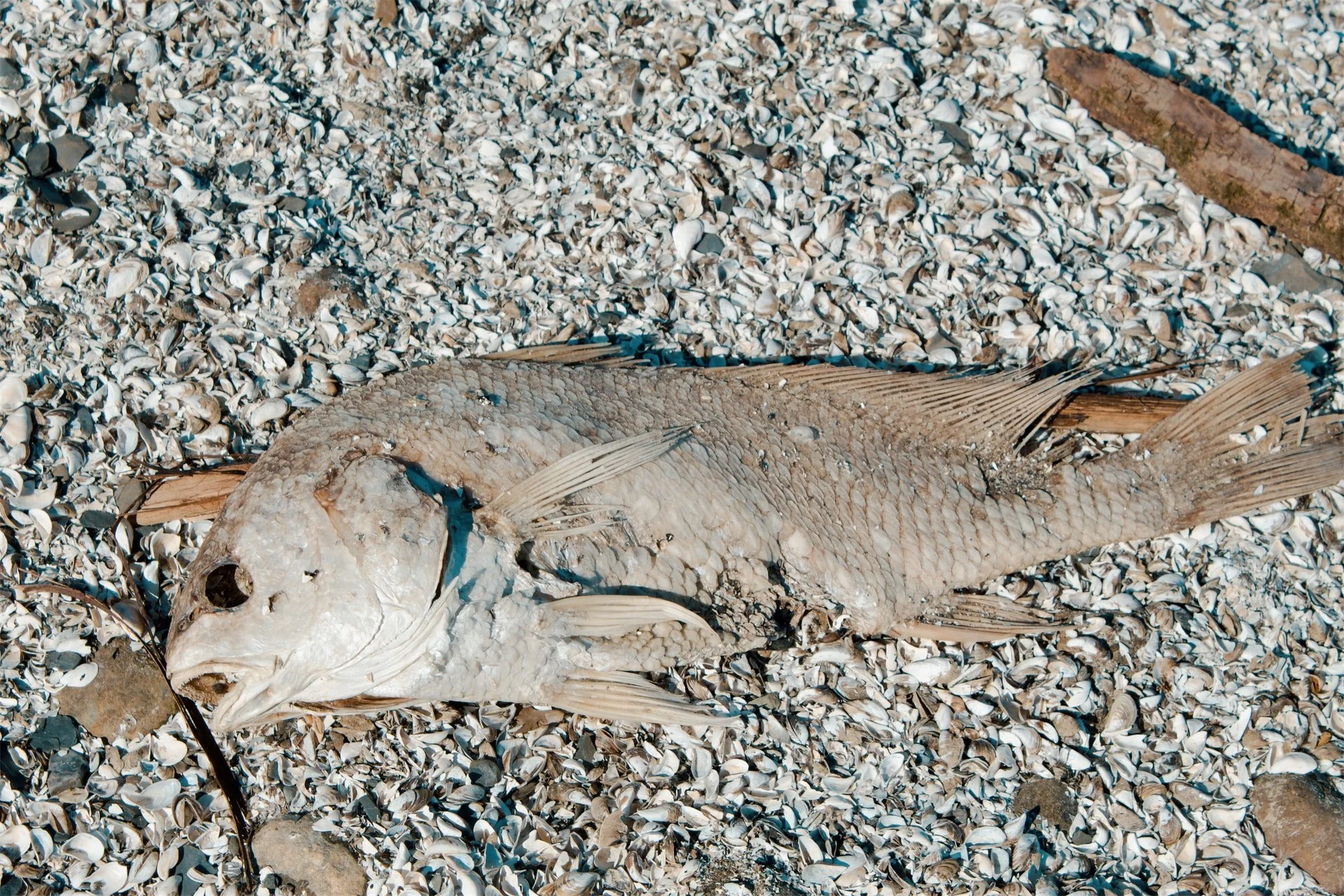 Lake Erie Vermilion OH, 2026