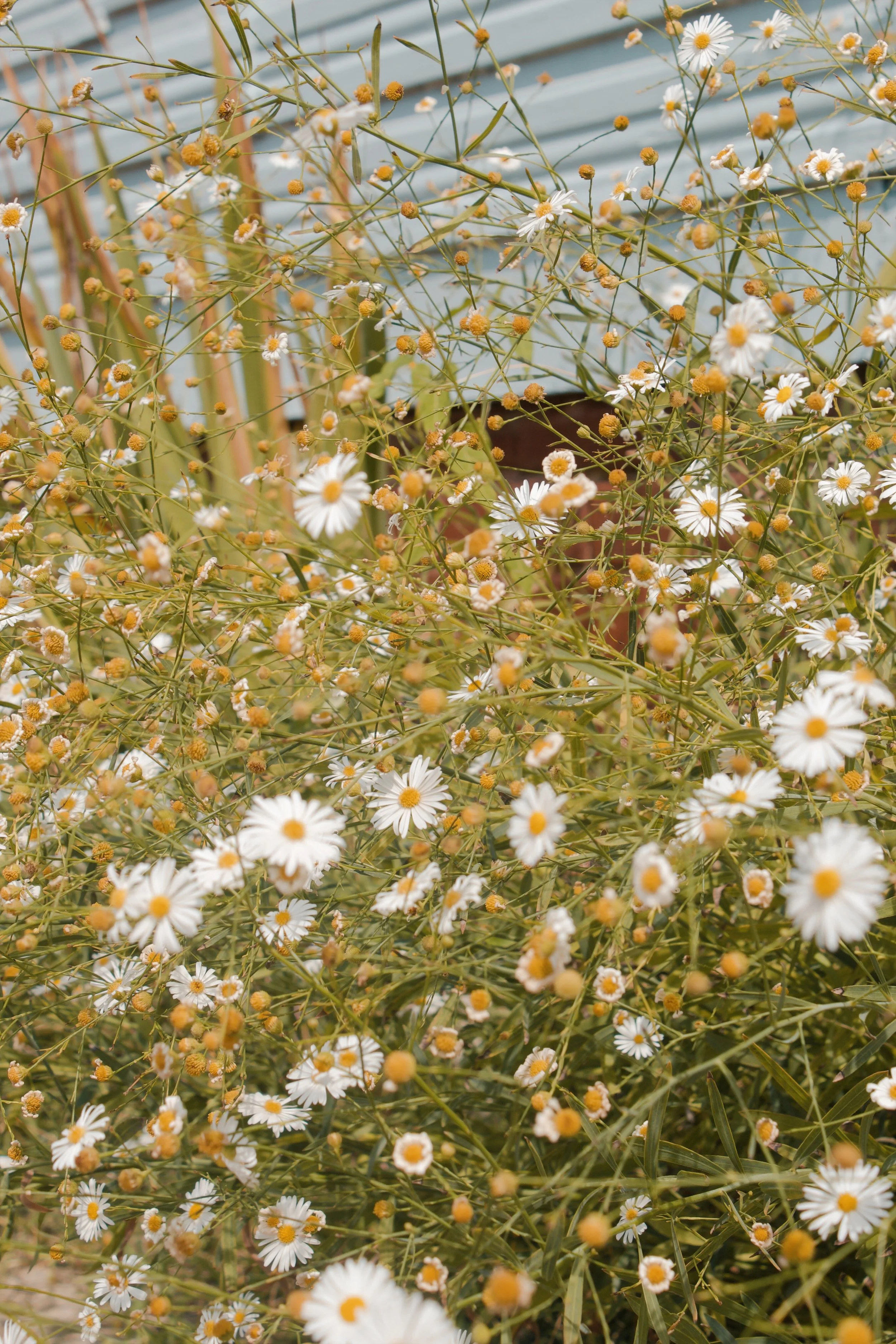 Church Hill Richmond VA, 2024