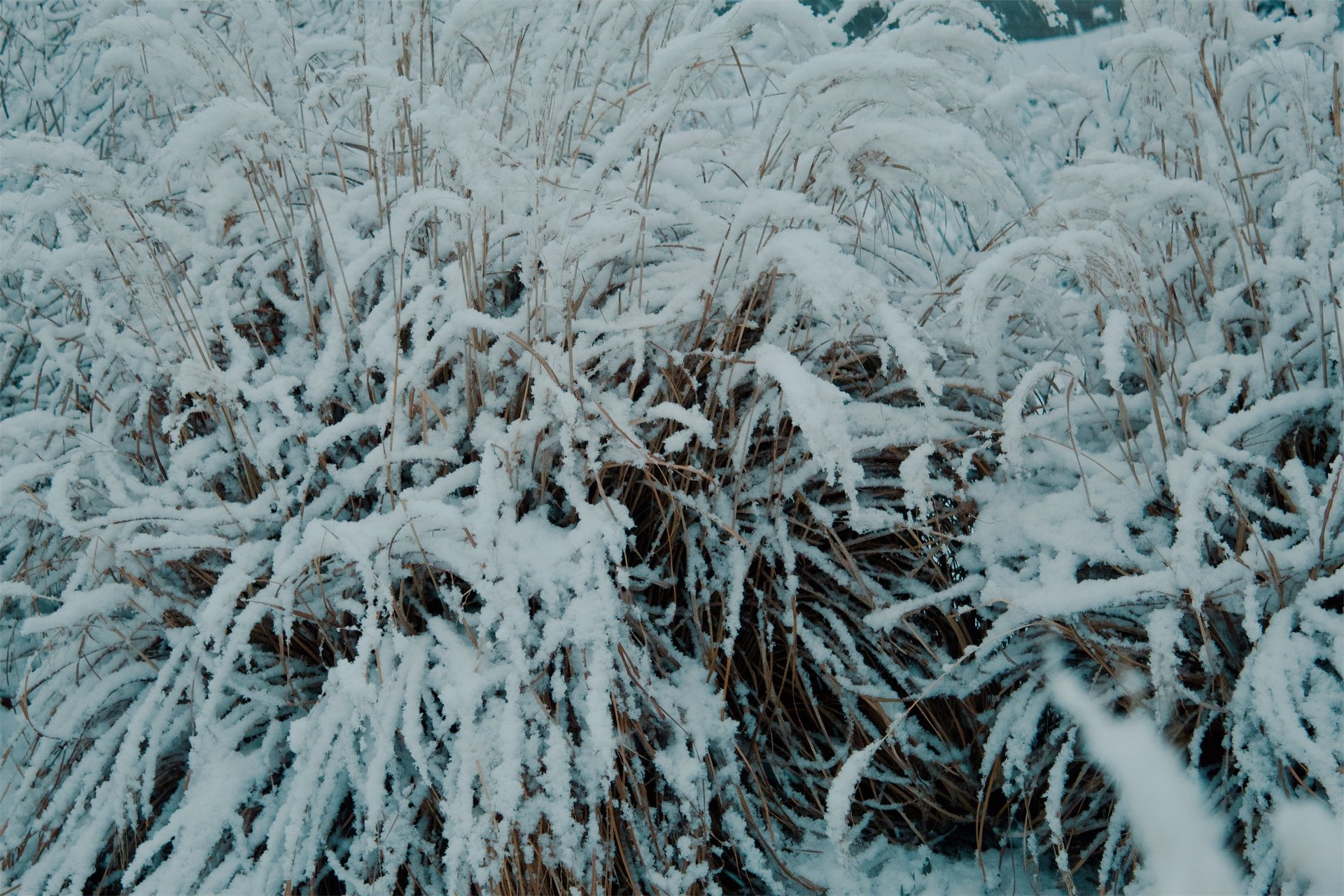 Church Hill Richmond VA, 2026