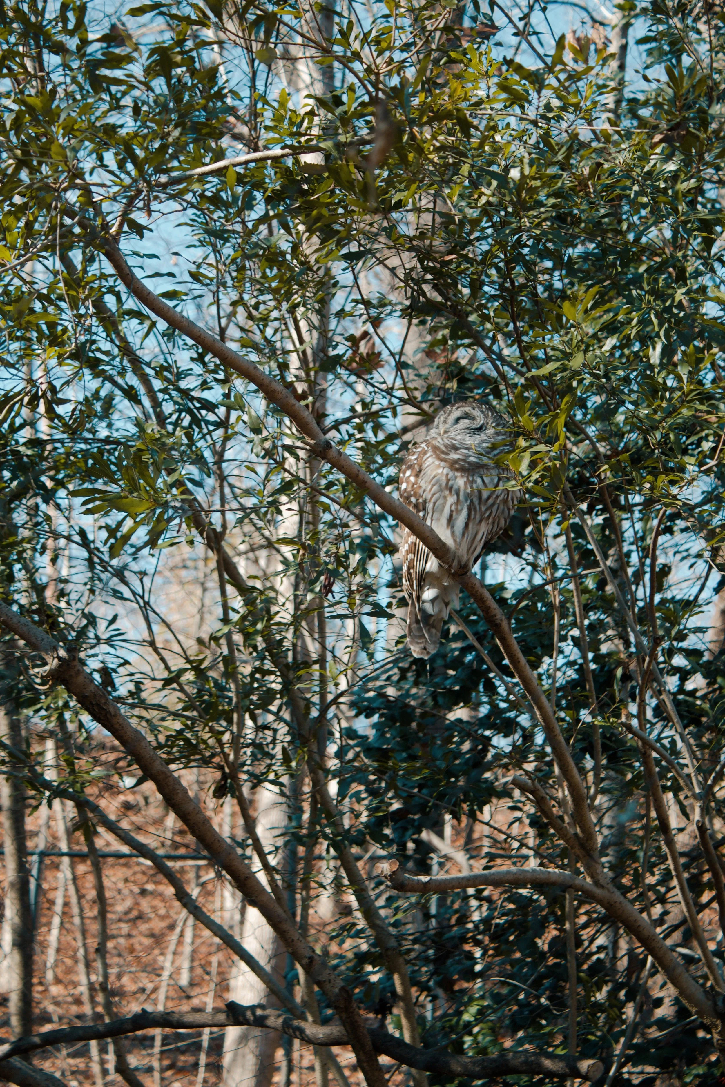 Maymont Richmond VA, 2024