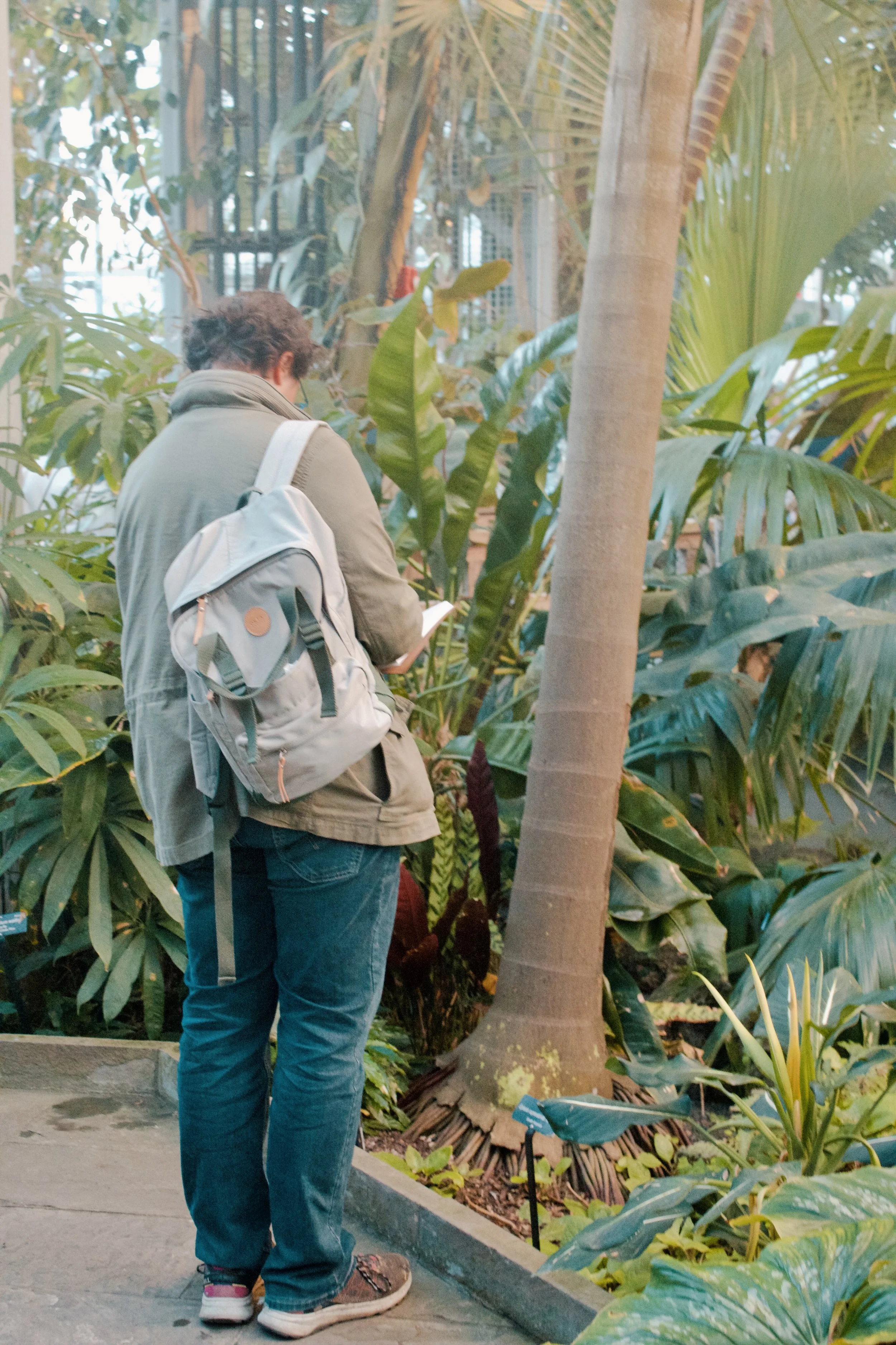 
United States Botanic Garden MD, 2024