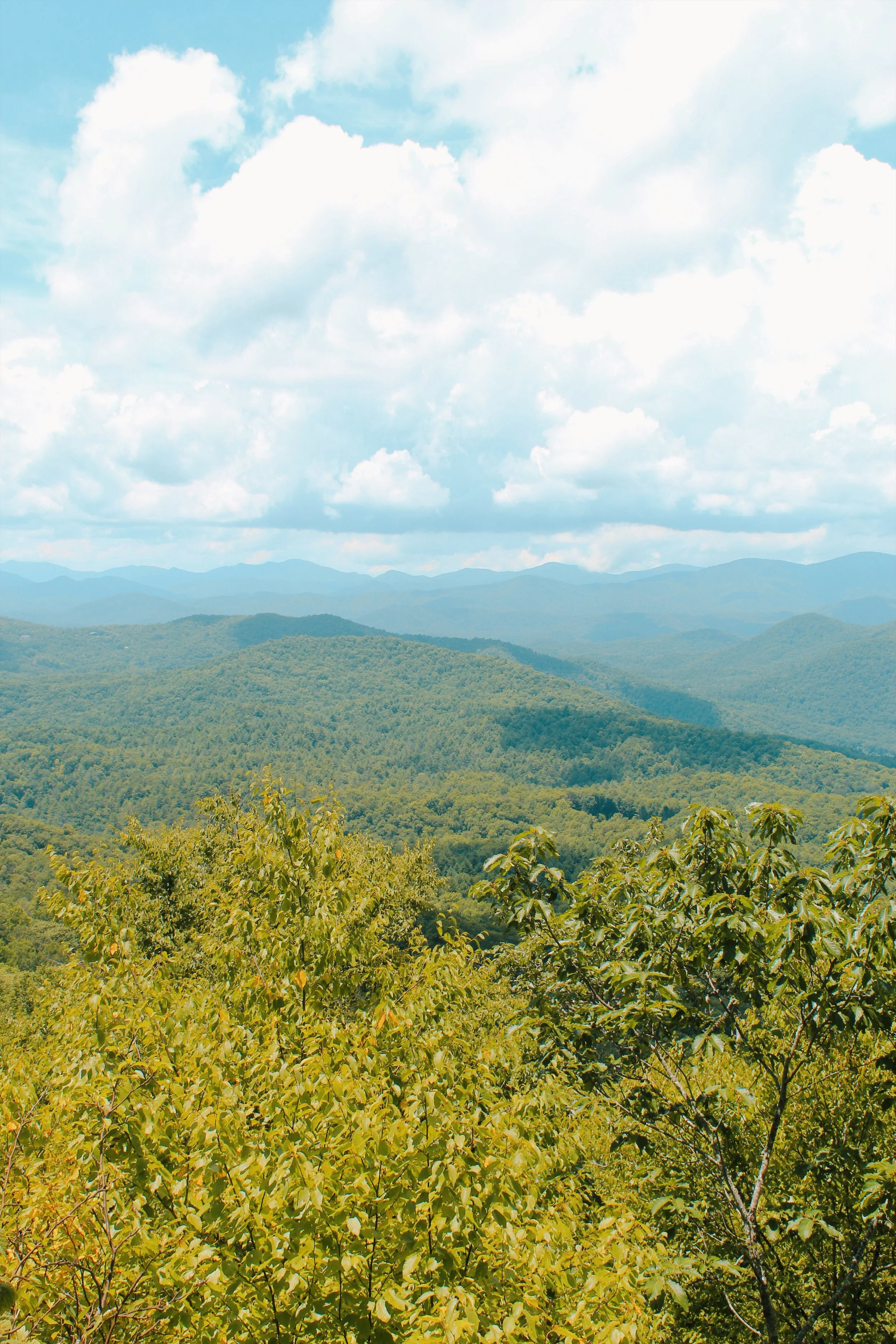 Black Rock Mountain GA, 2024