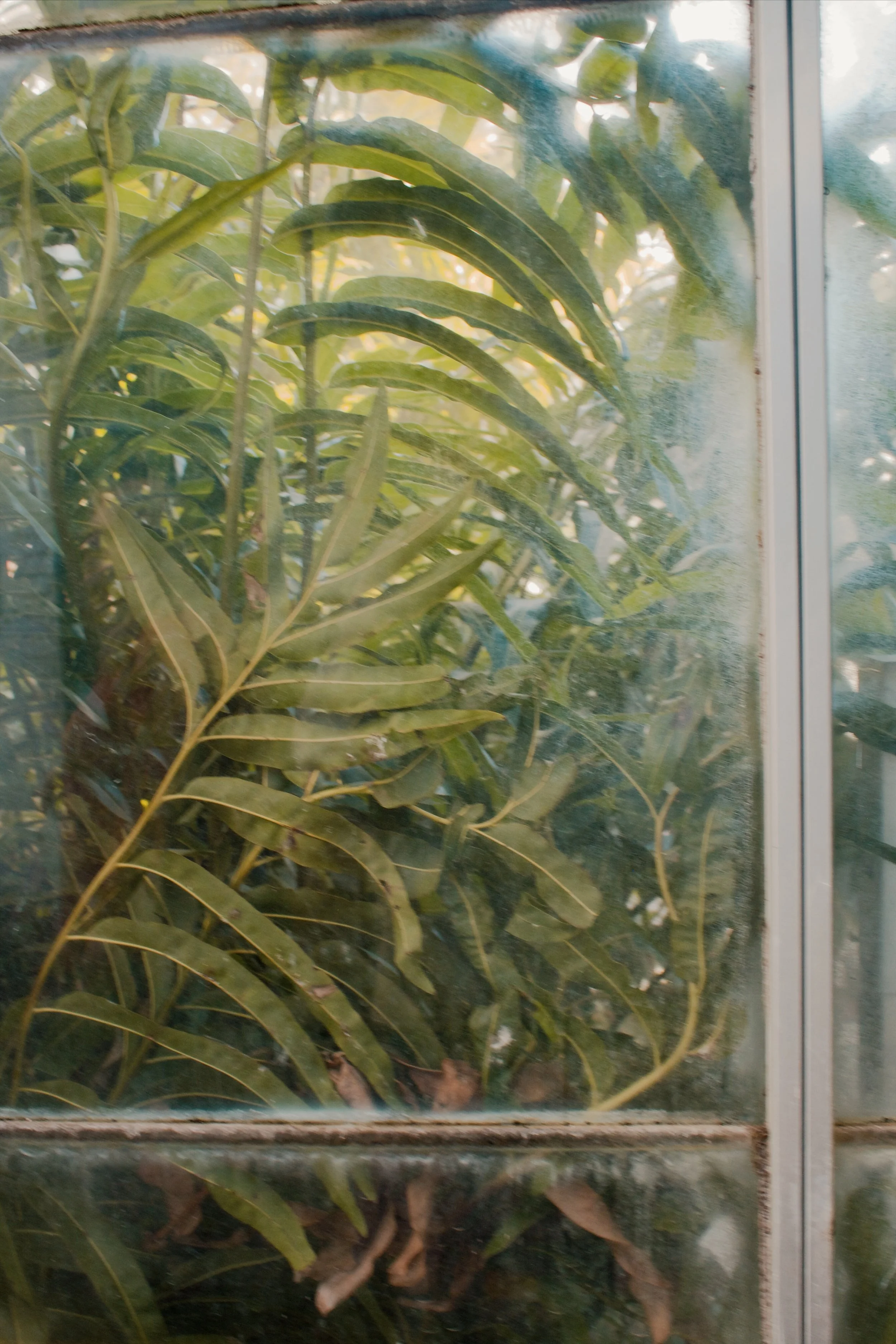 United States Botanic Garden MD, 2024