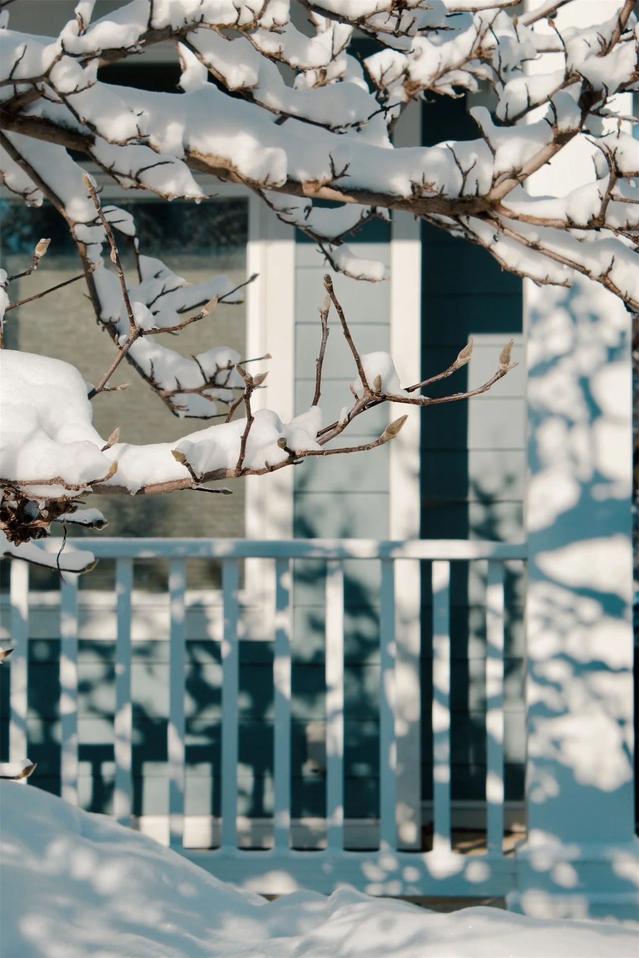 Church Hill Richmond VA, 2025