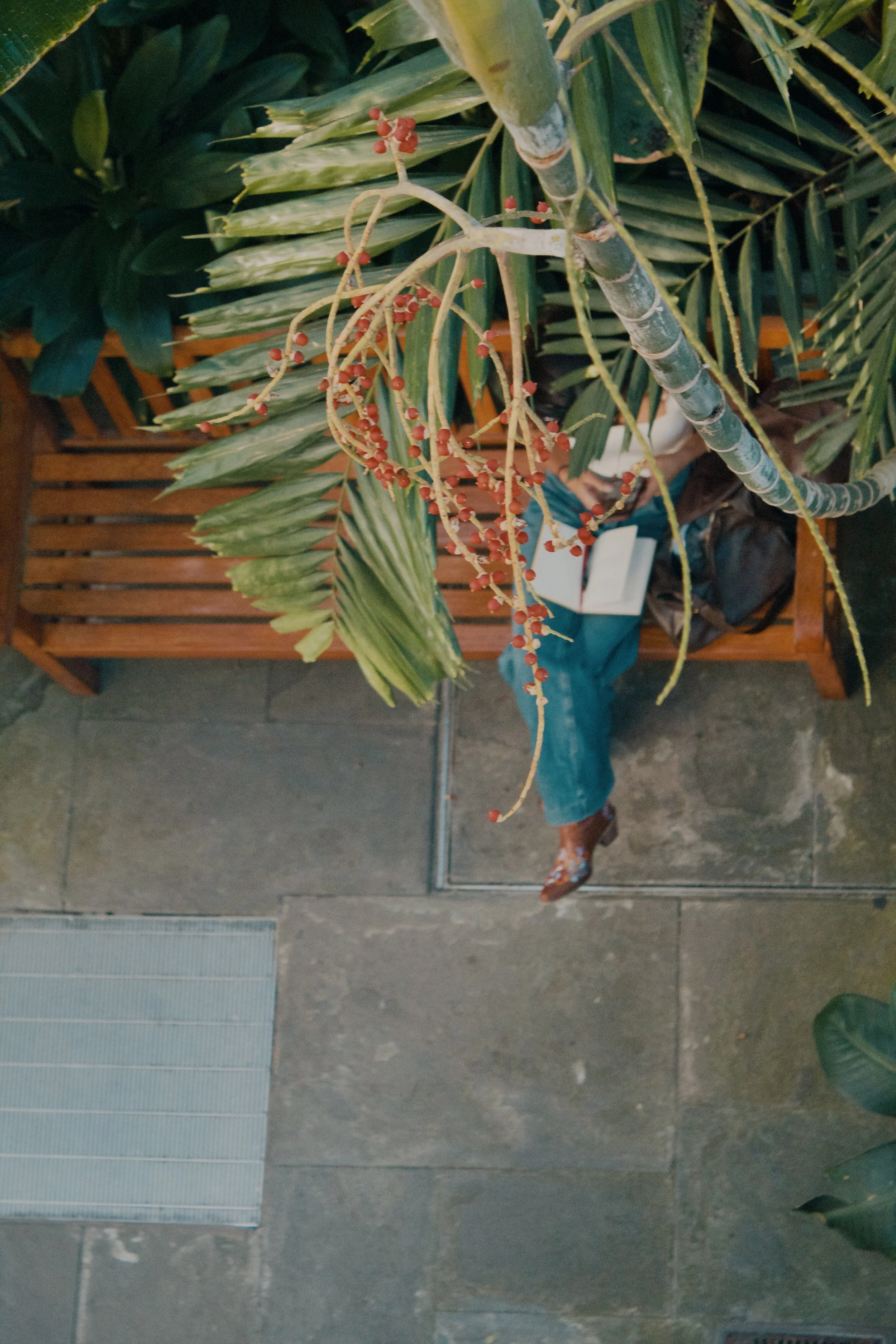 United States Botanic Garden MD, 2024