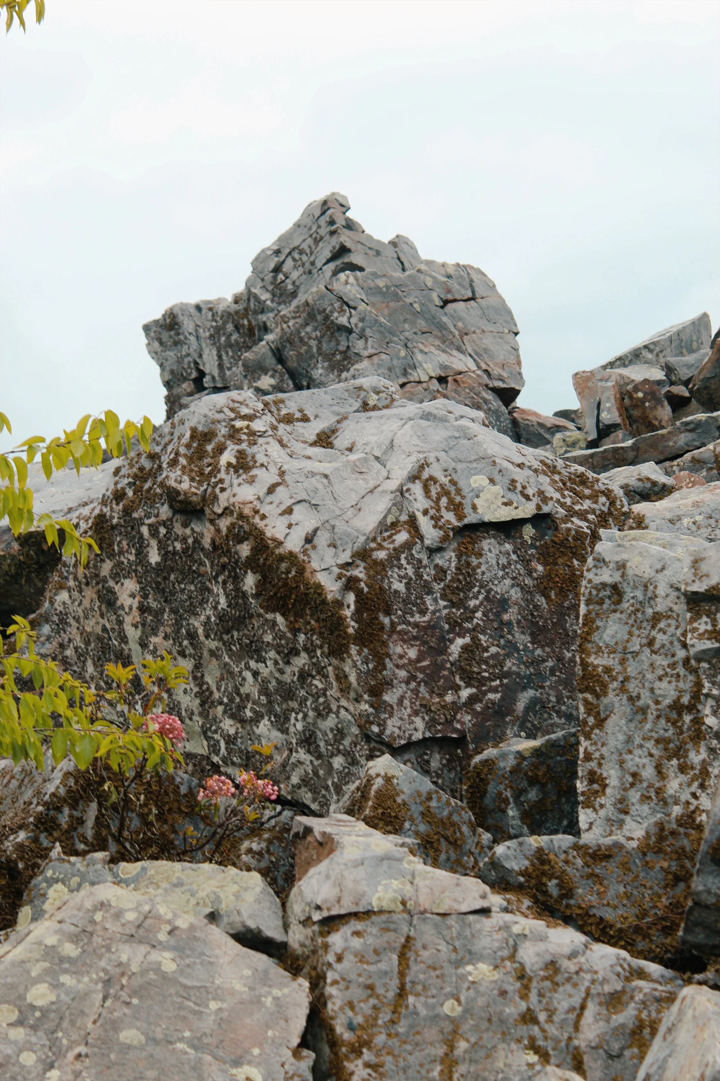 Shenandoah National Park VA, 2025