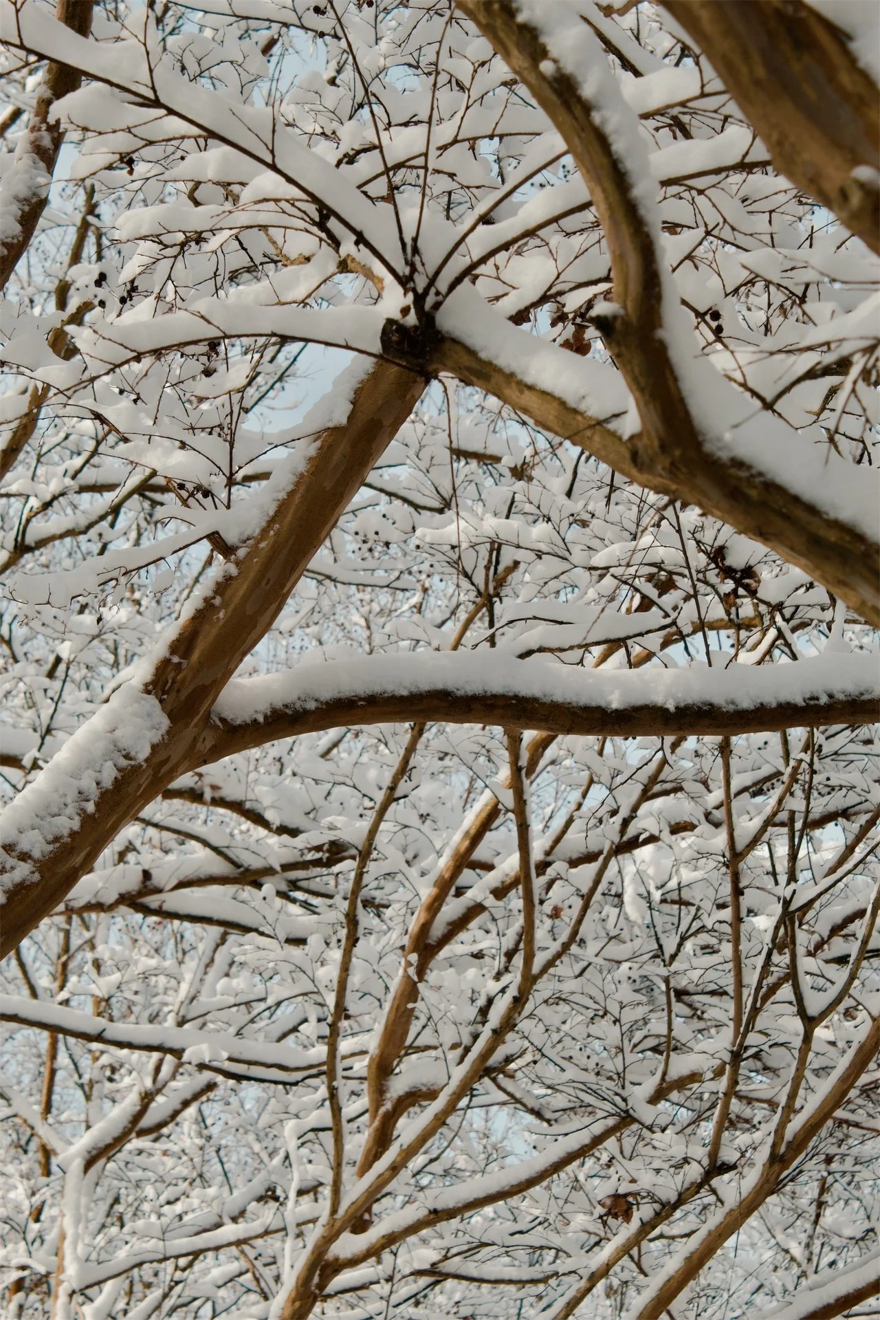 Church Hill Richmond VA, 2025