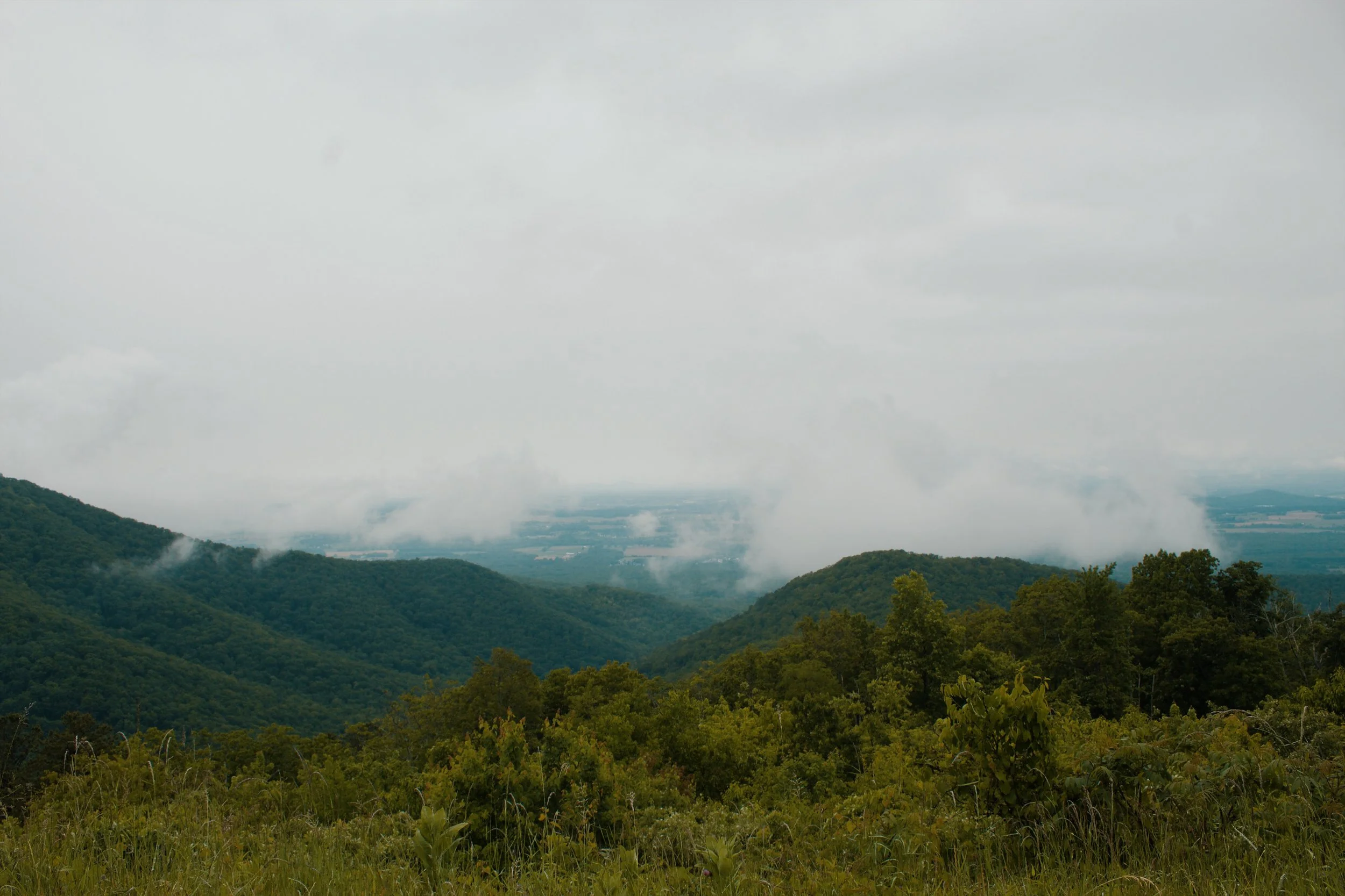 Shenandoah National Park VA, 2025