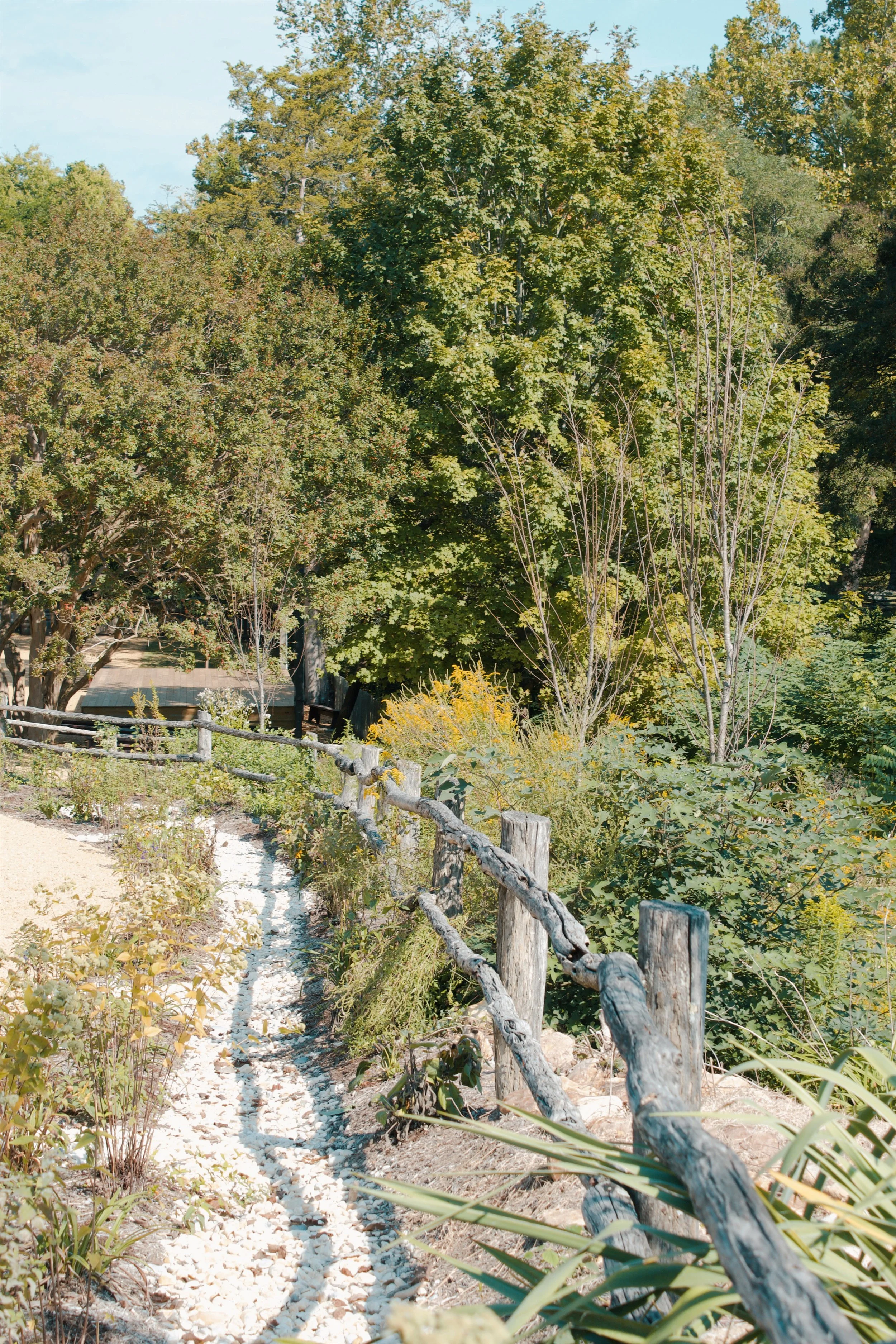 Williamsburg VA, 2024