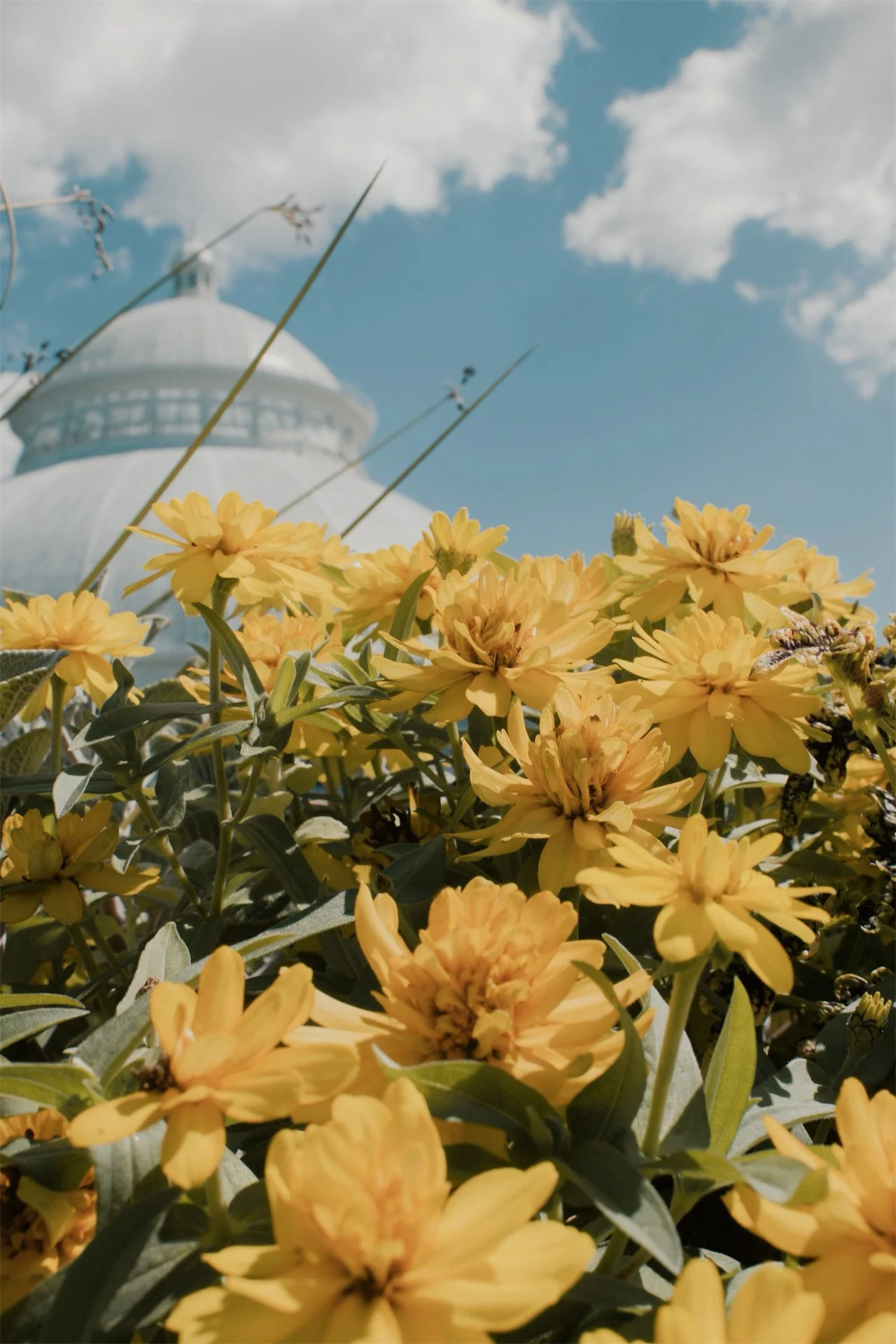 New York Botanical Garden NYC, 2025