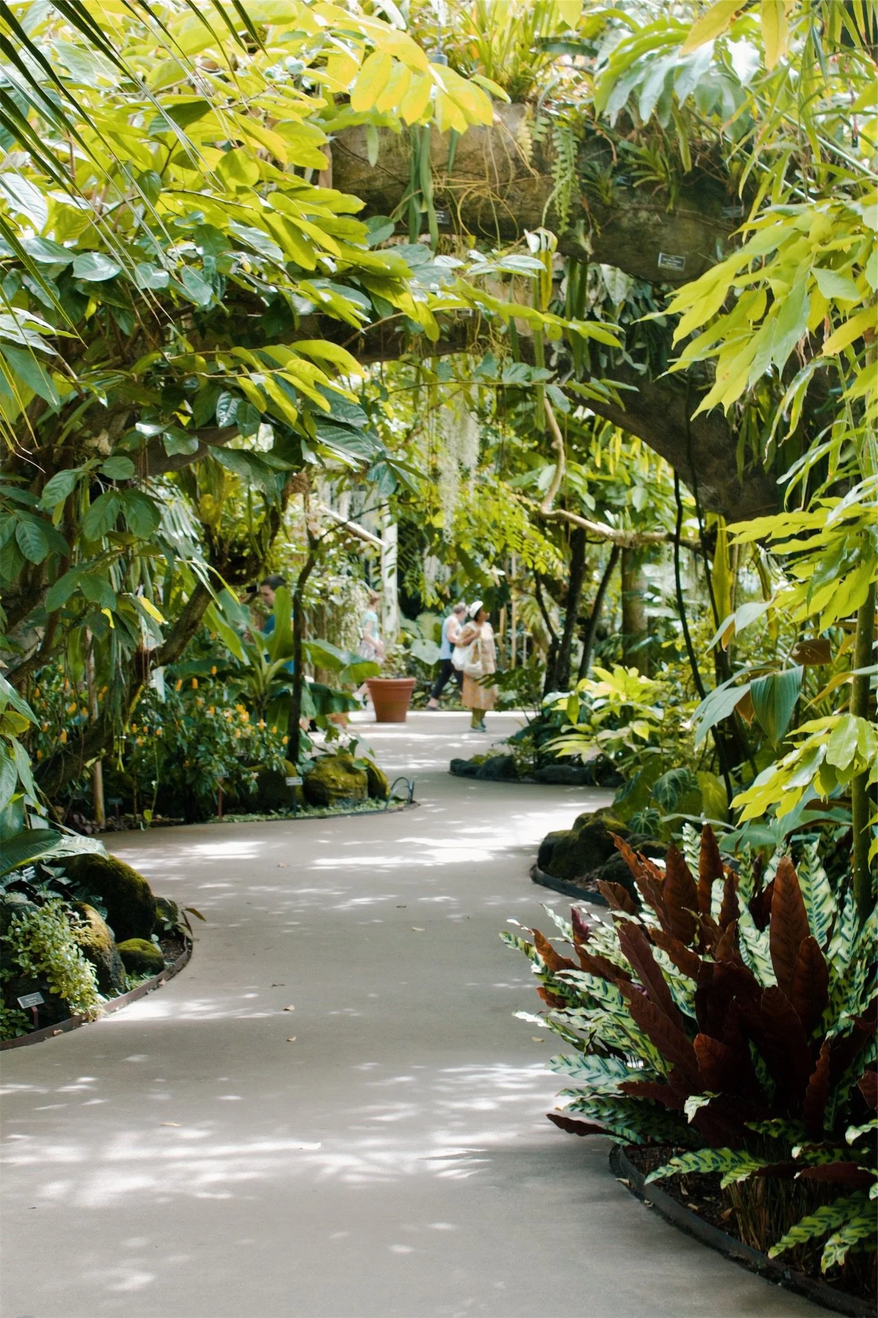 New York Botanical Garden NYC, 2025
