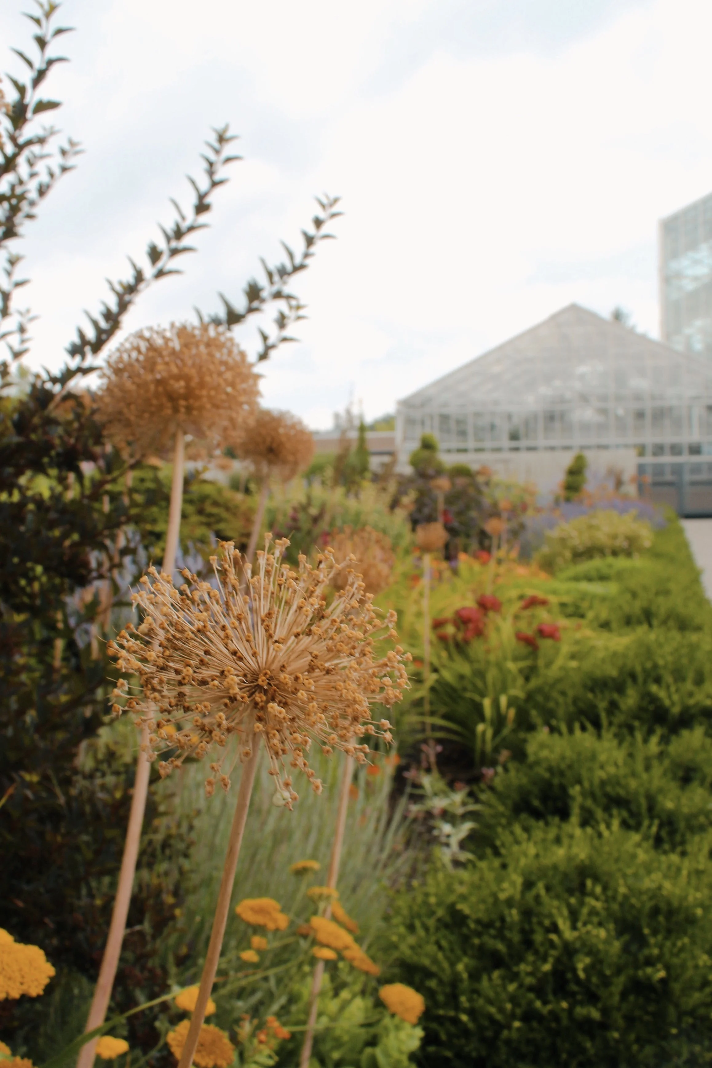 Frederik Meijer Garden MI, 2025