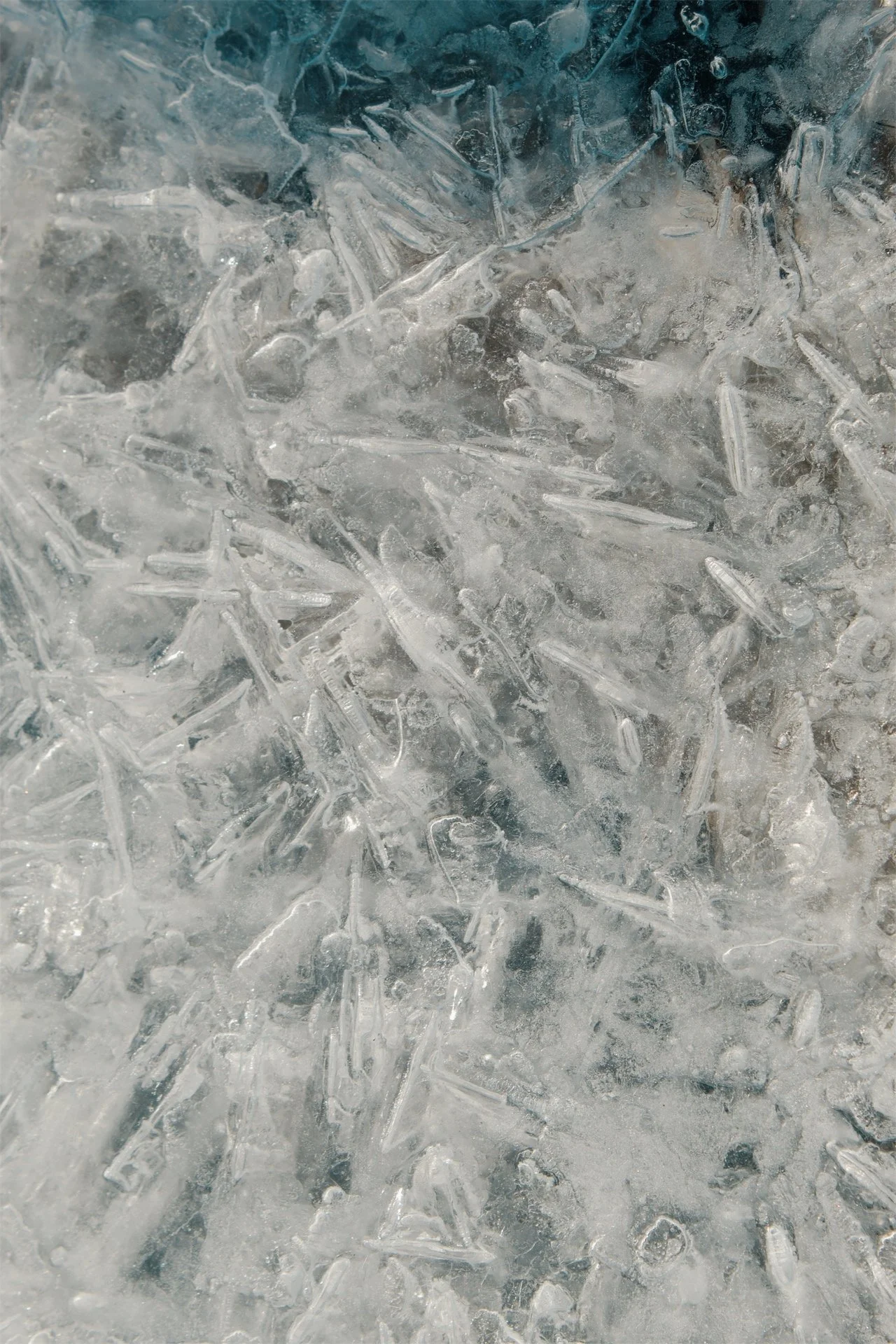 Lake Erie Vermilion OH, 2026