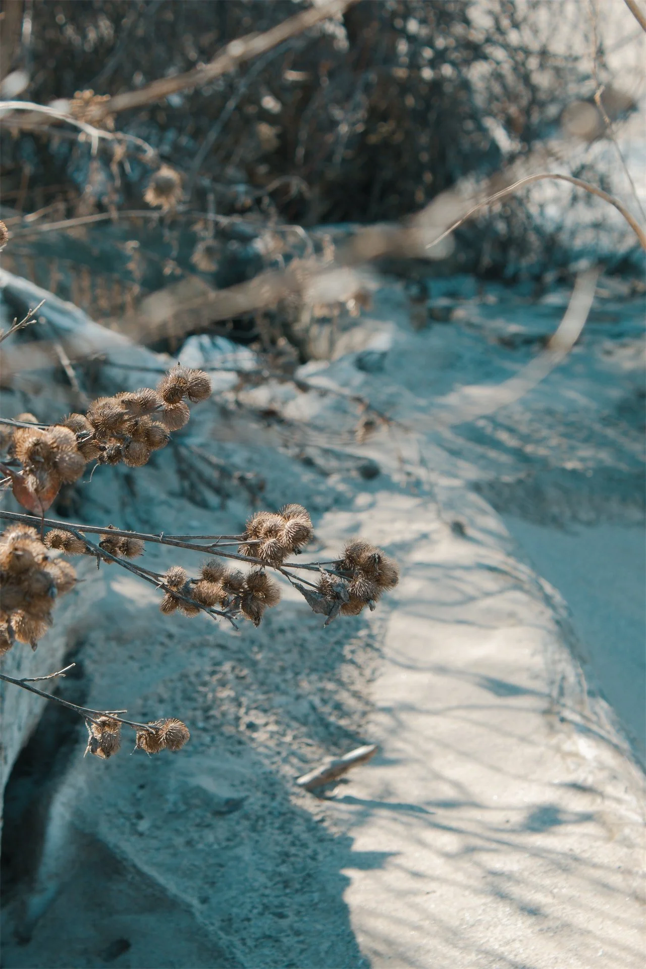 Lake Erie Vermilion OH, 2026