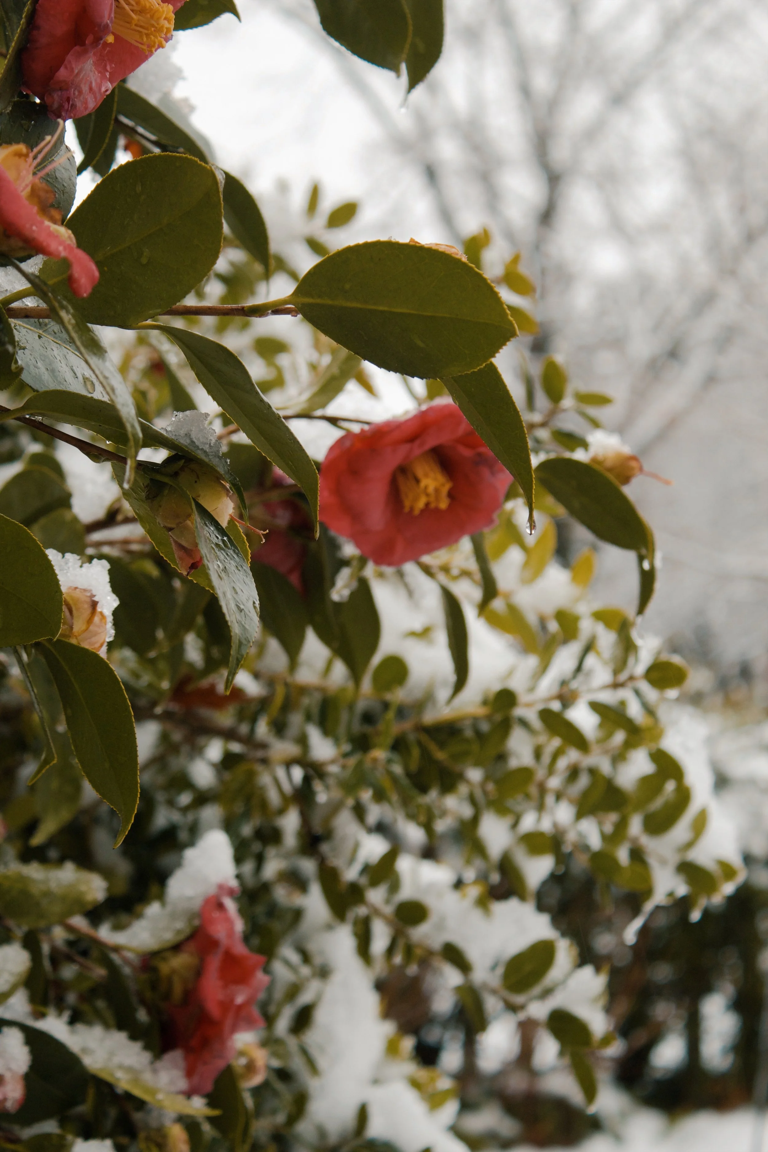 Church Hill Richmond VA, 2025