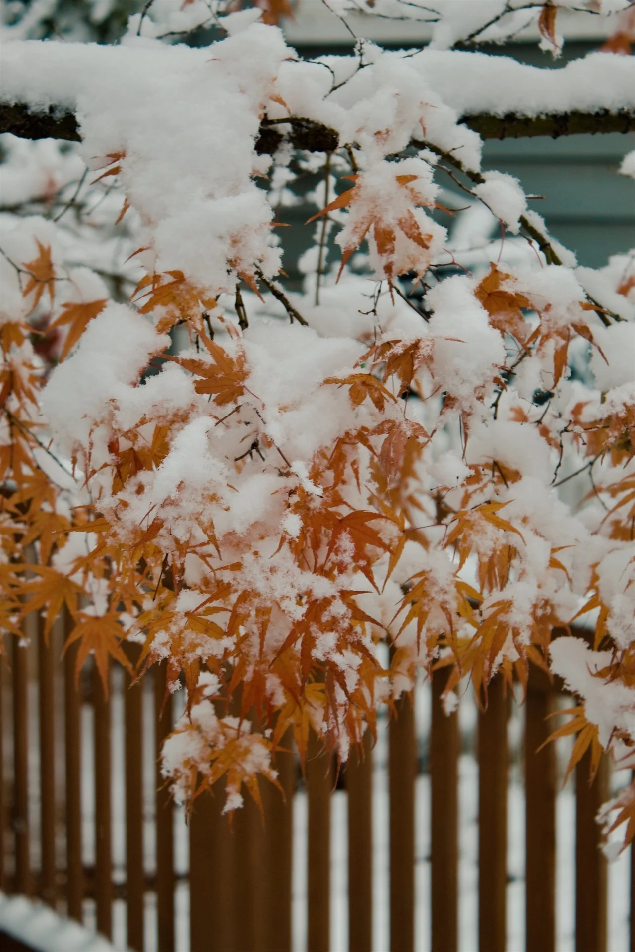 Church Hill Richmond VA, 2025