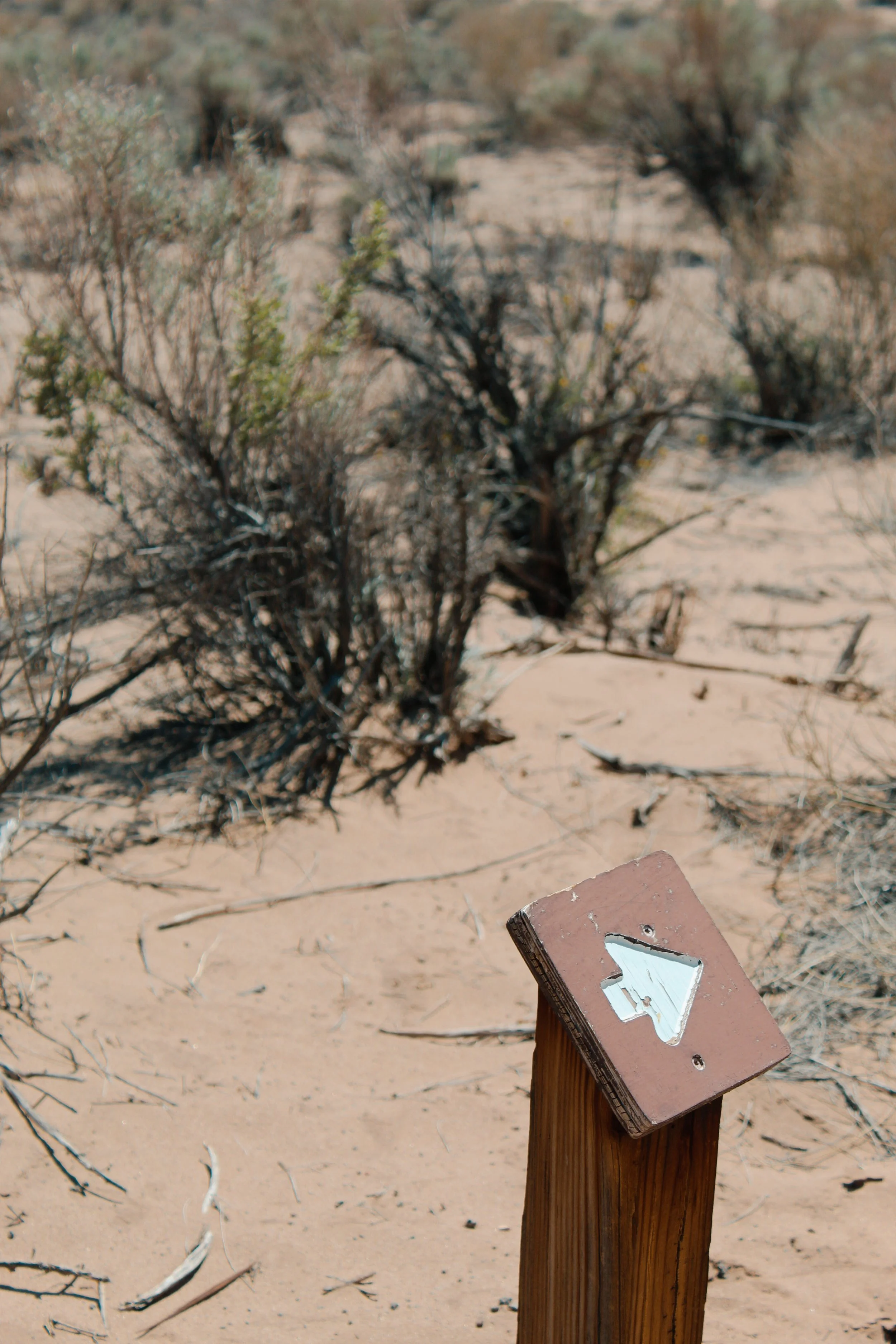 Albuquerque NM, 2024