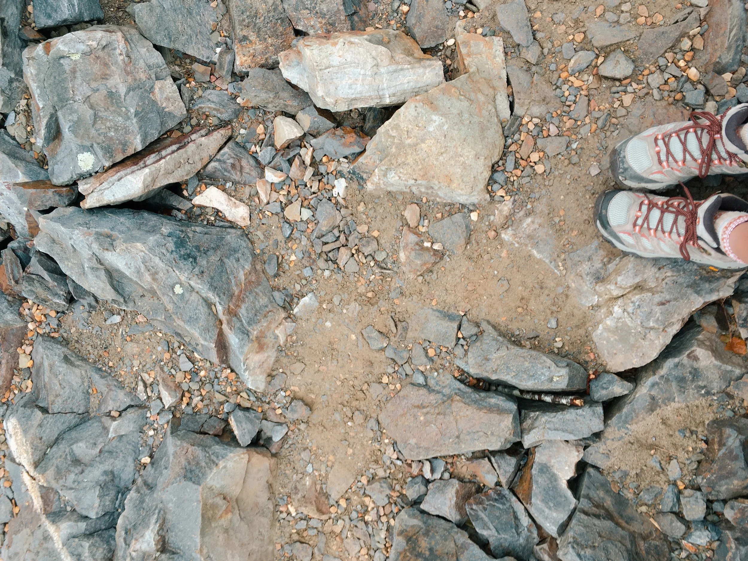 Shenandoah National Park VA, 2025