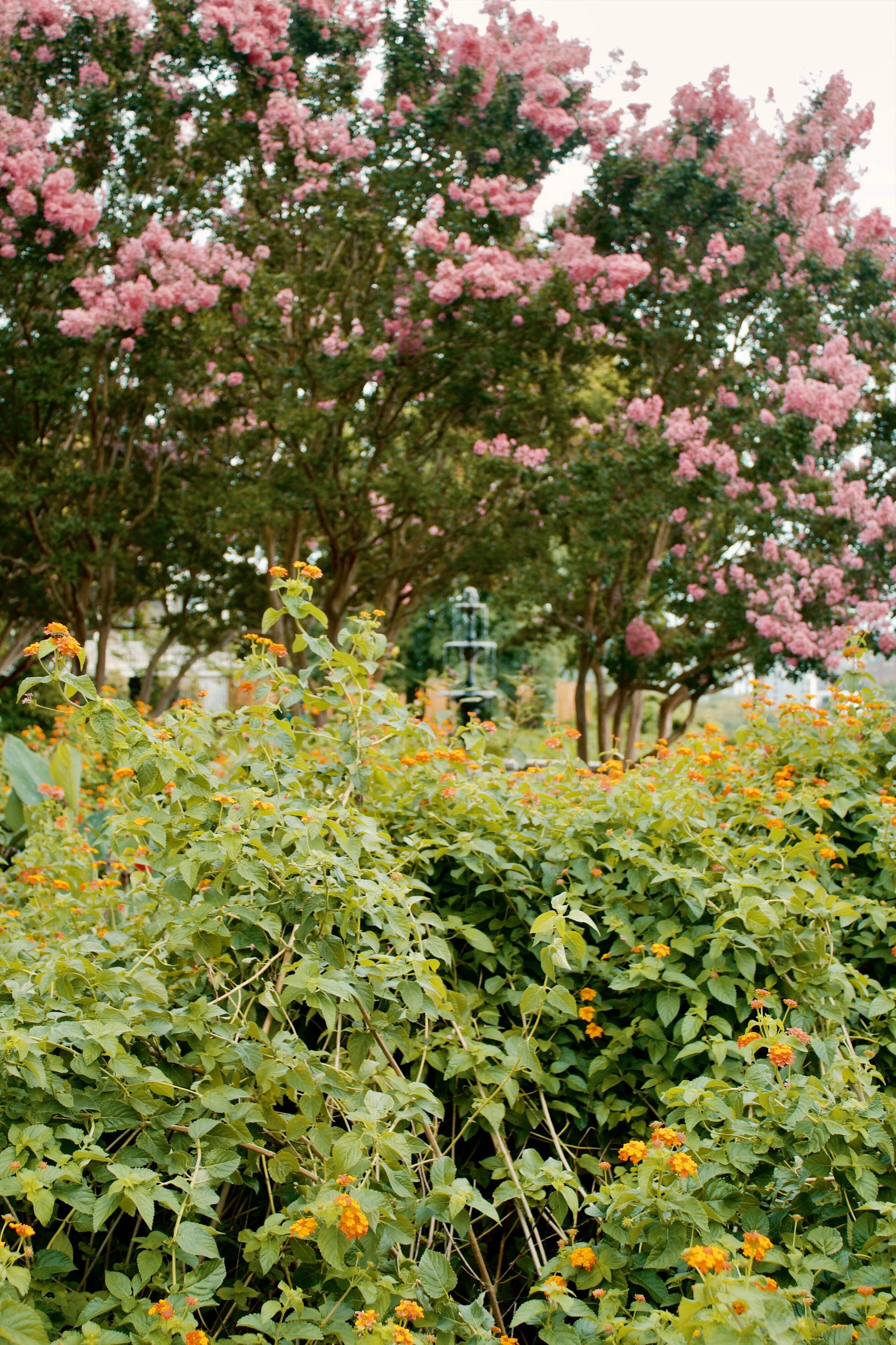 Libby Hill Park Richmond VA, 2024