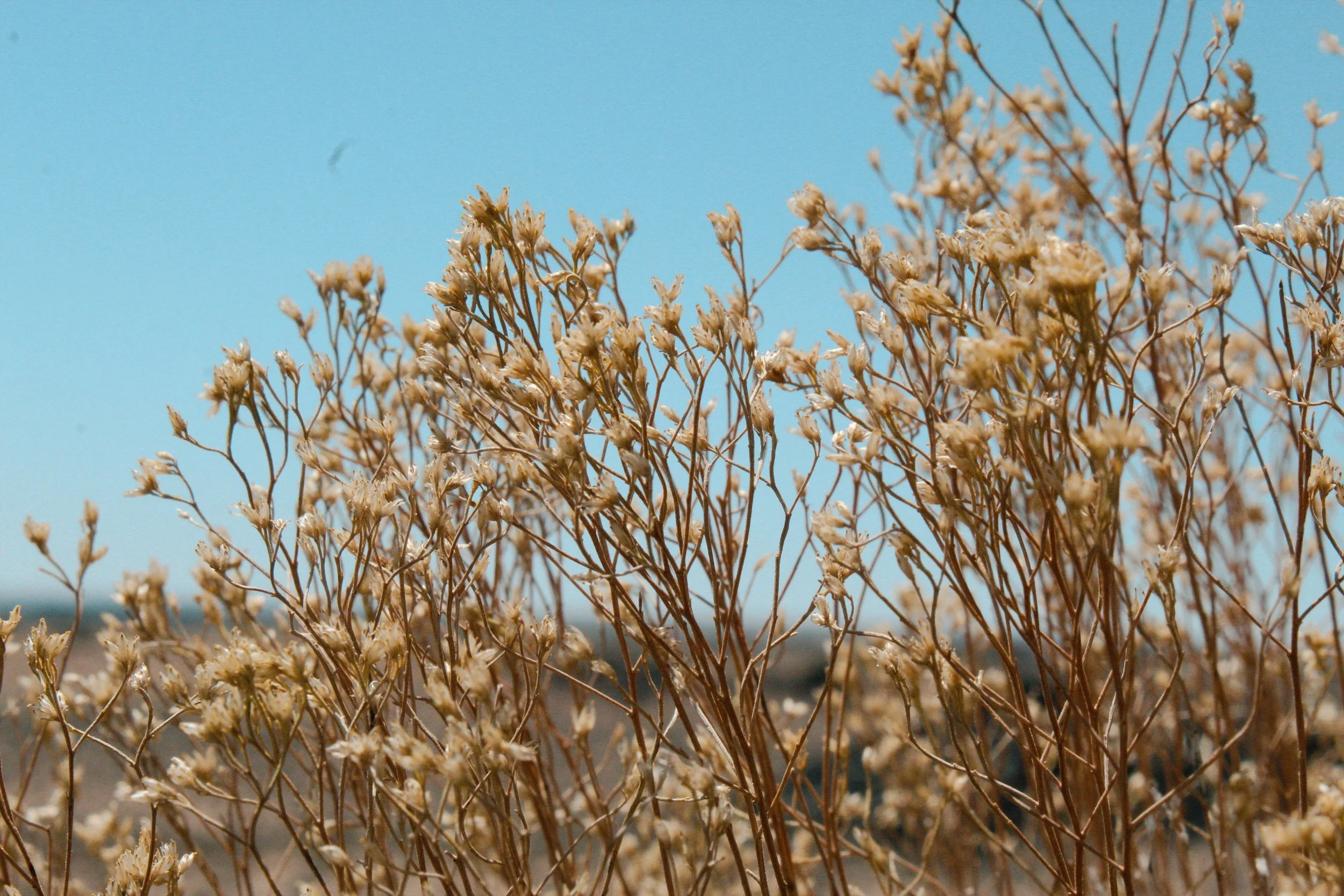Albuquerque NM, 2024