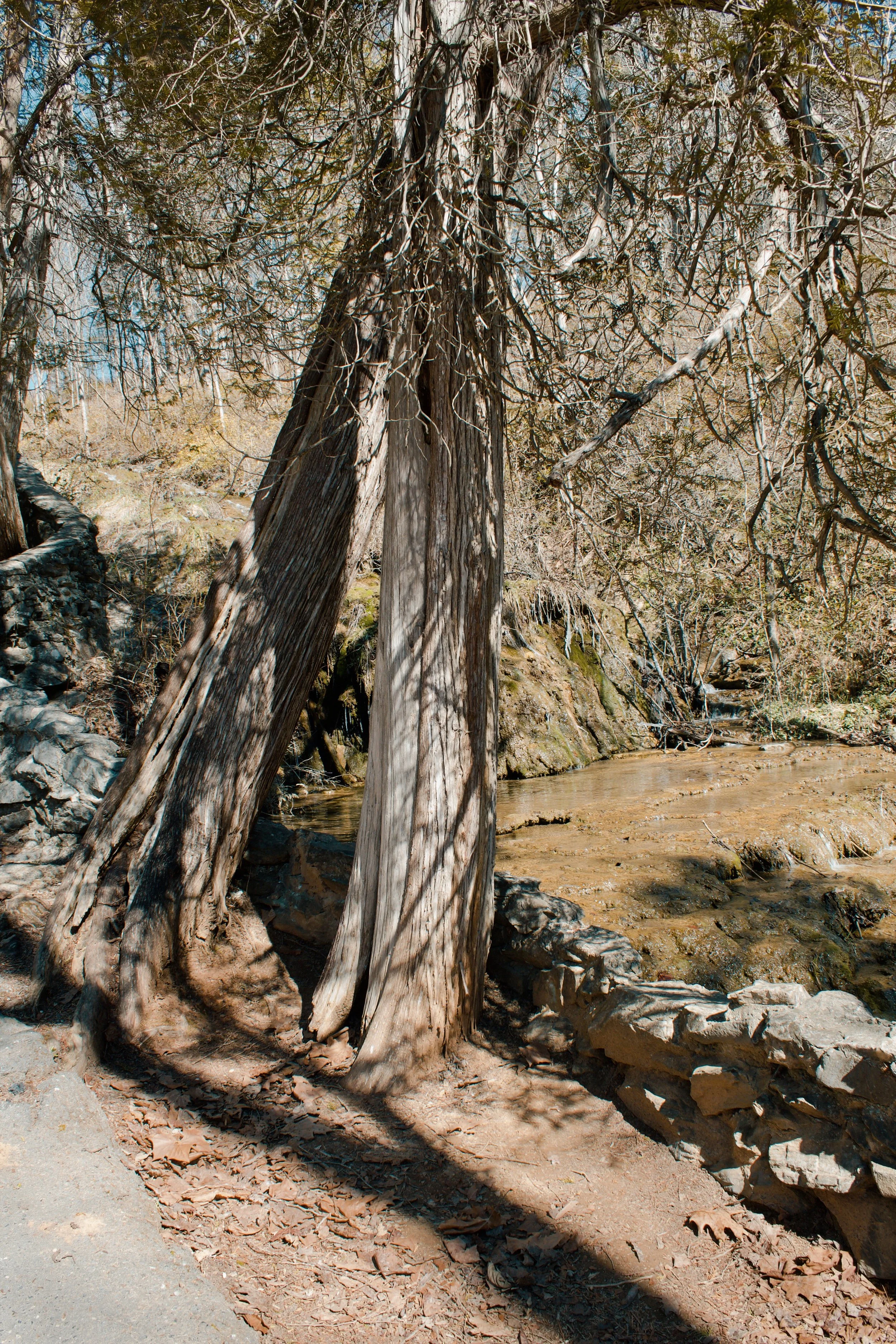 Natural Bridge VA, 2025
