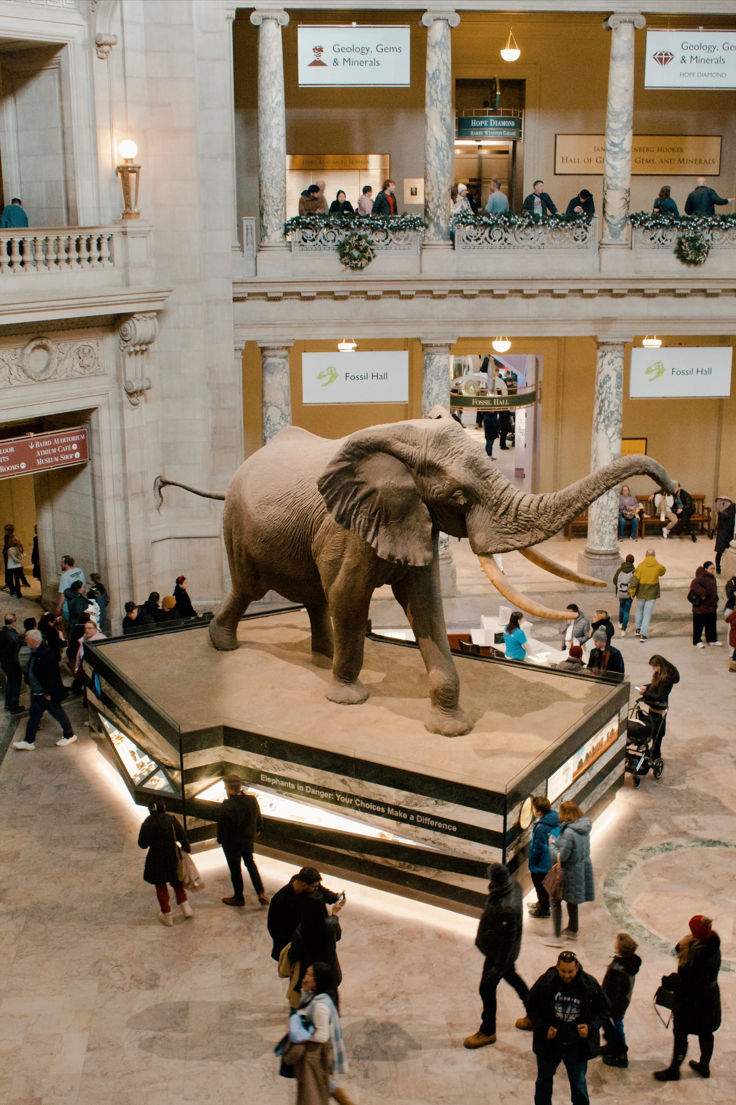 National Museum of Natural History MD, 2024