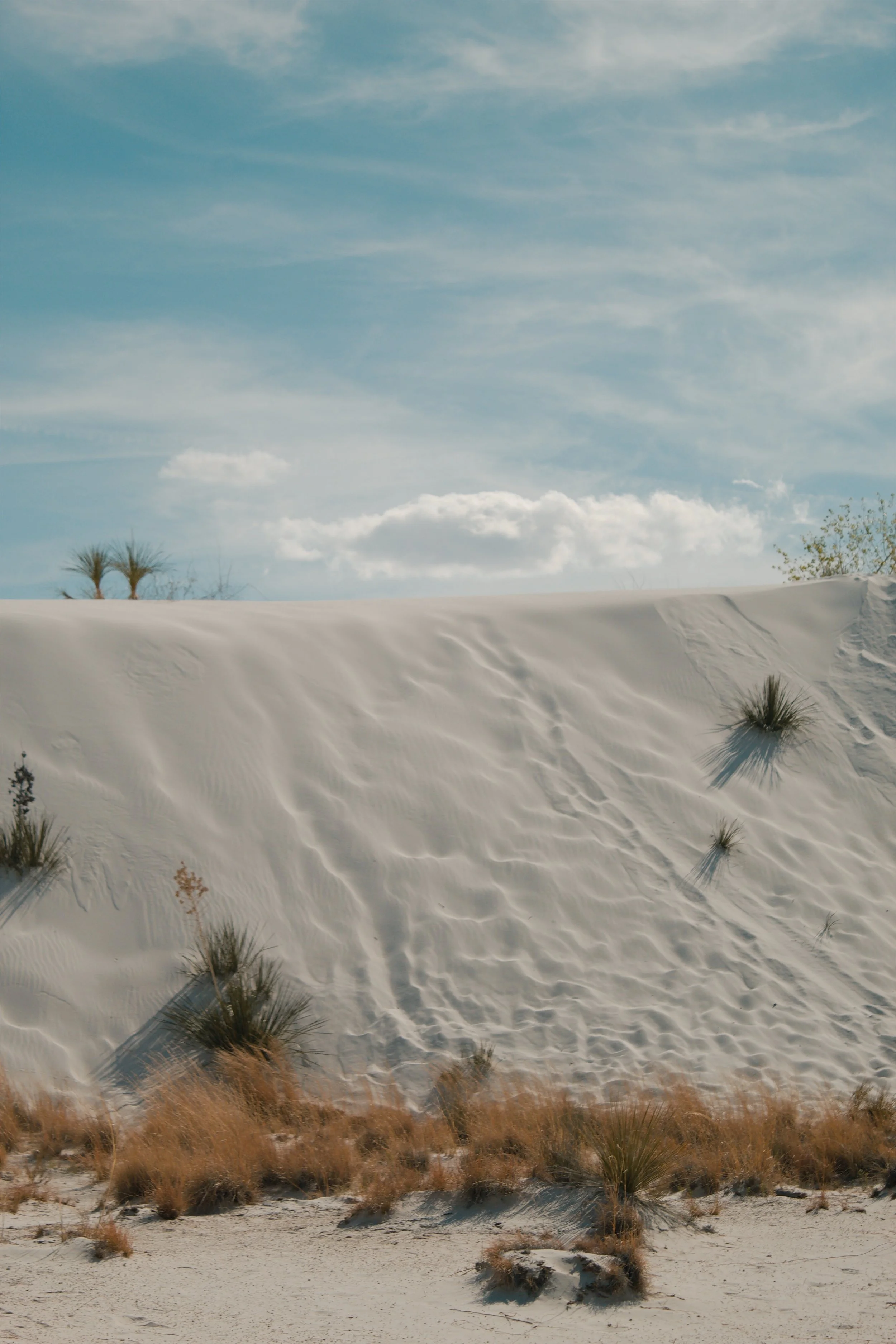White Sands National Park NM, 2024