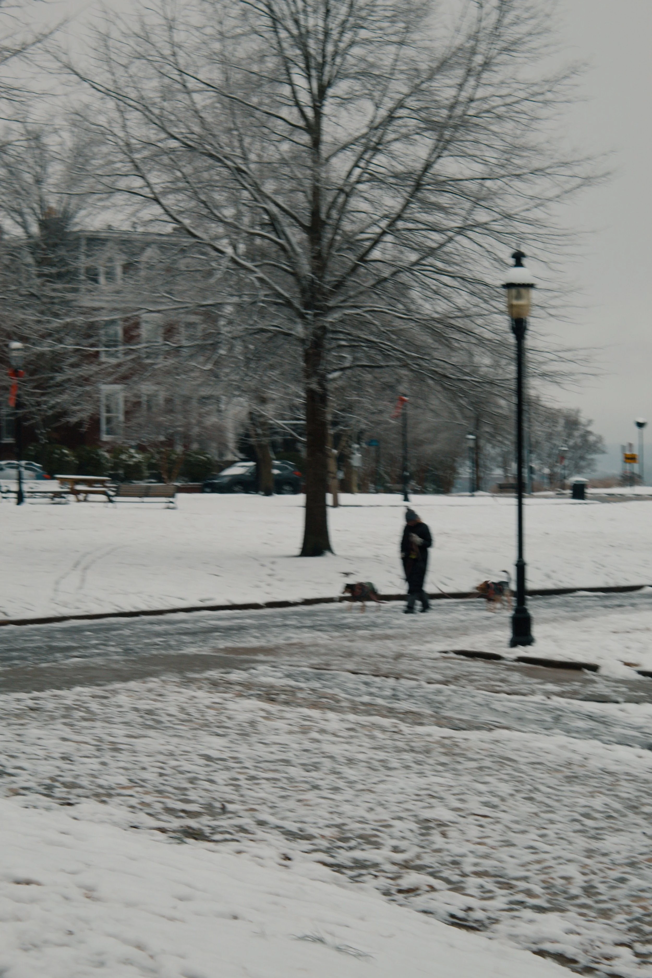 Church Hill Richmond VA, 2025