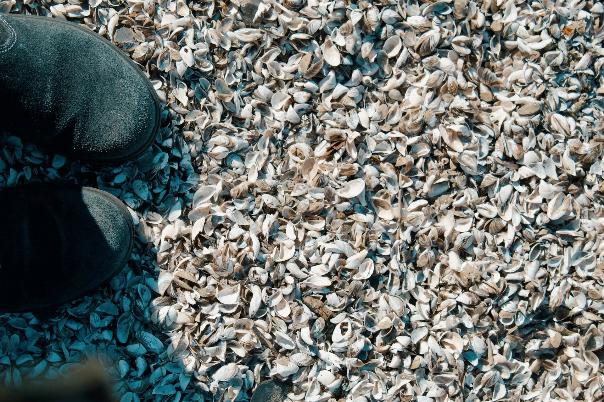 Lake Erie Vermilion OH, 2026