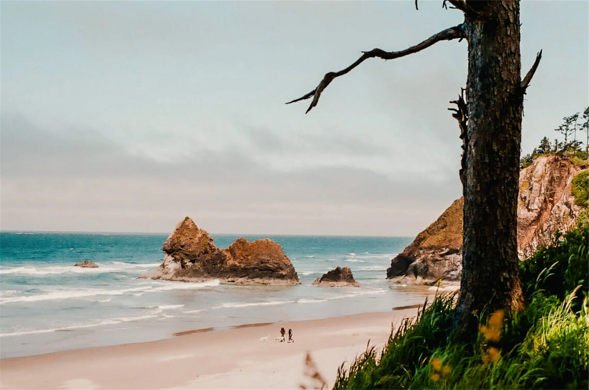 Highway 101 OR, 2022
