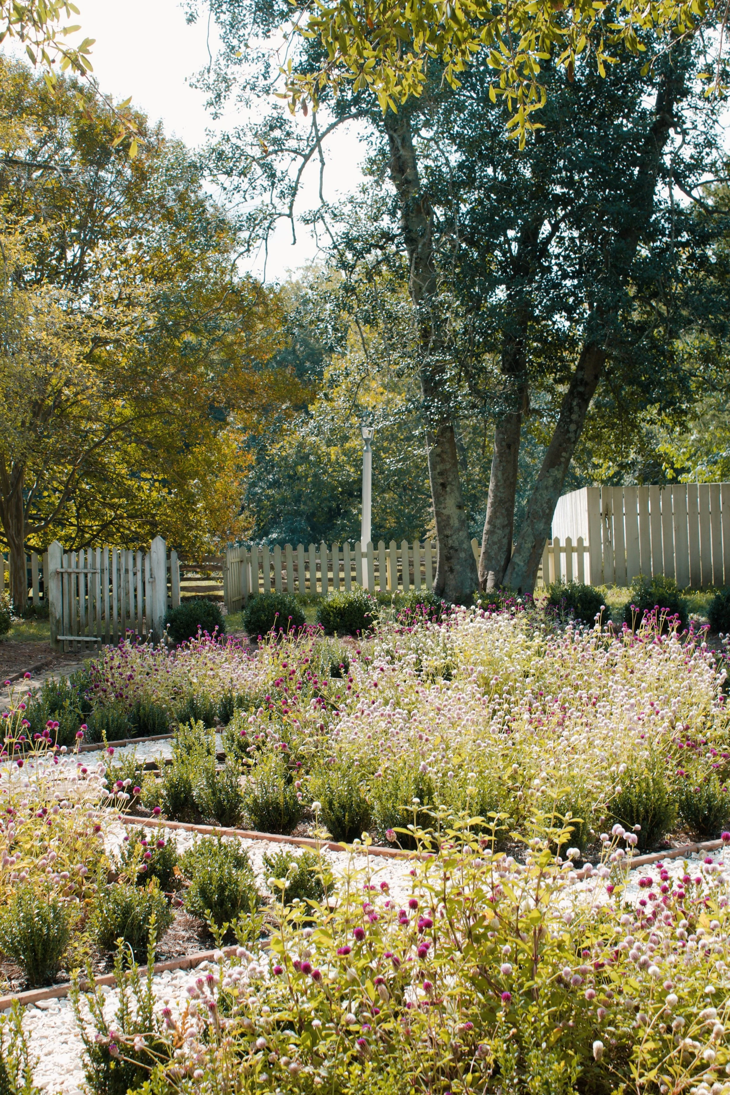 Williamsburg VA, 2024