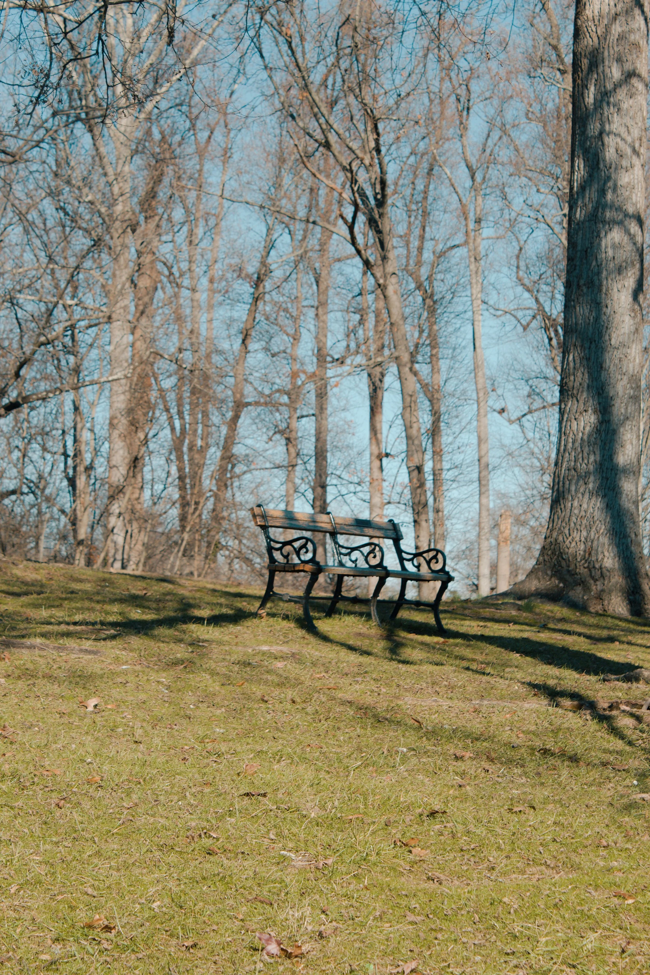 Maymont Richmond VA, 2024