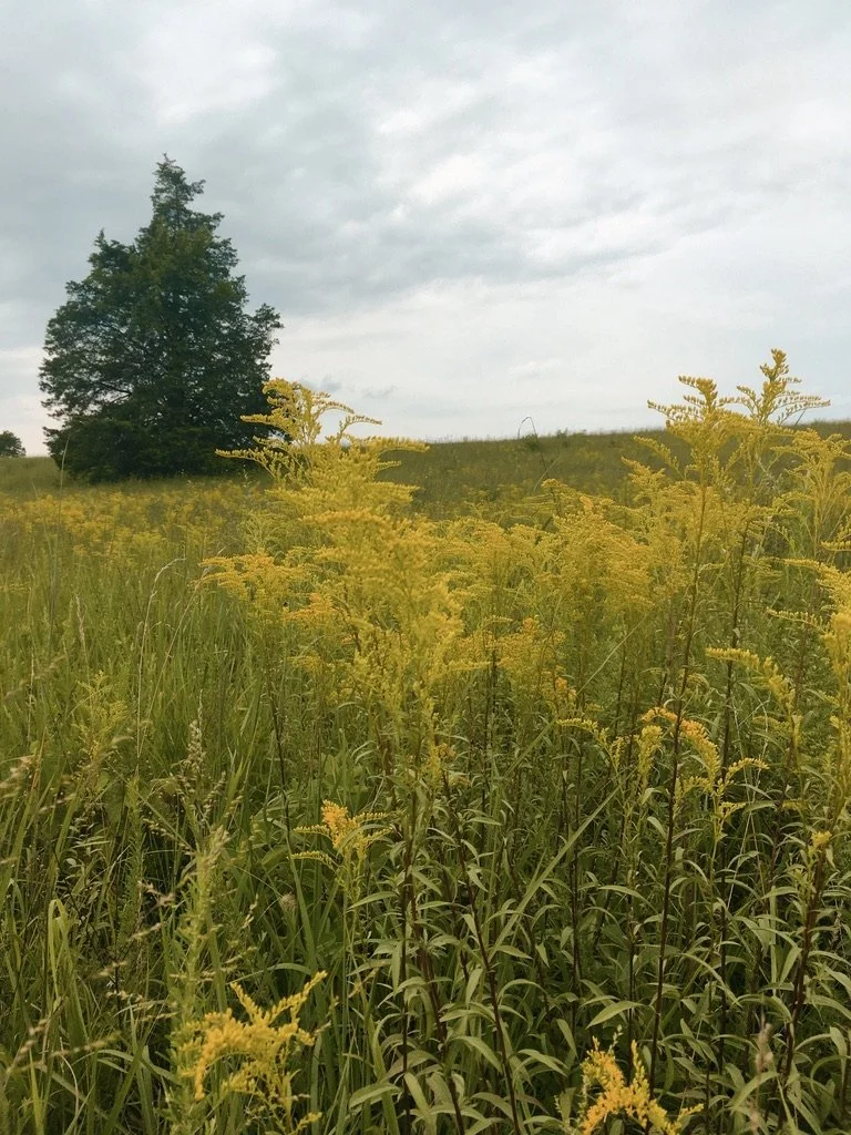Manassas National Battlefield Park VA, 2026