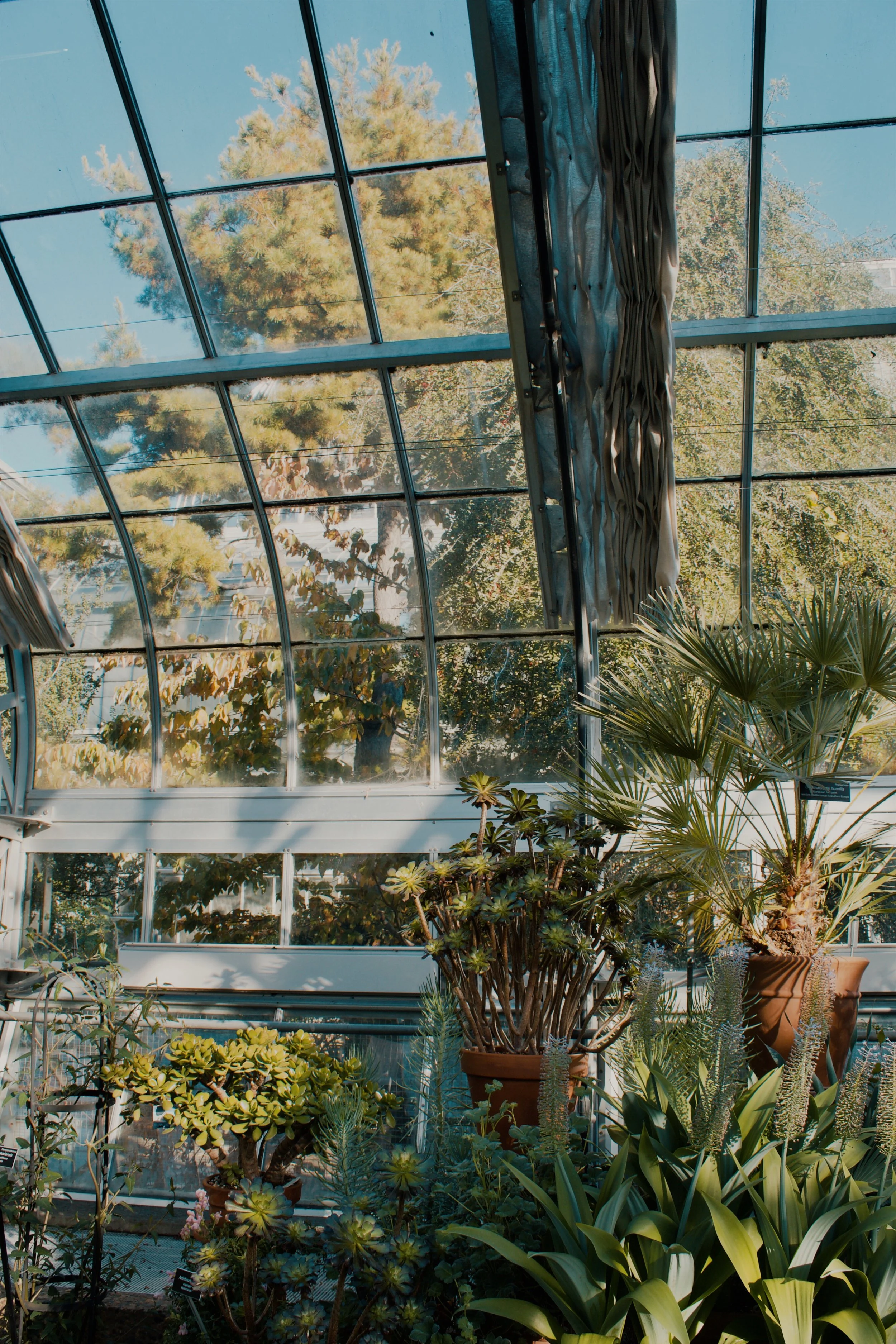 United States Botanic Garden MD, 2024