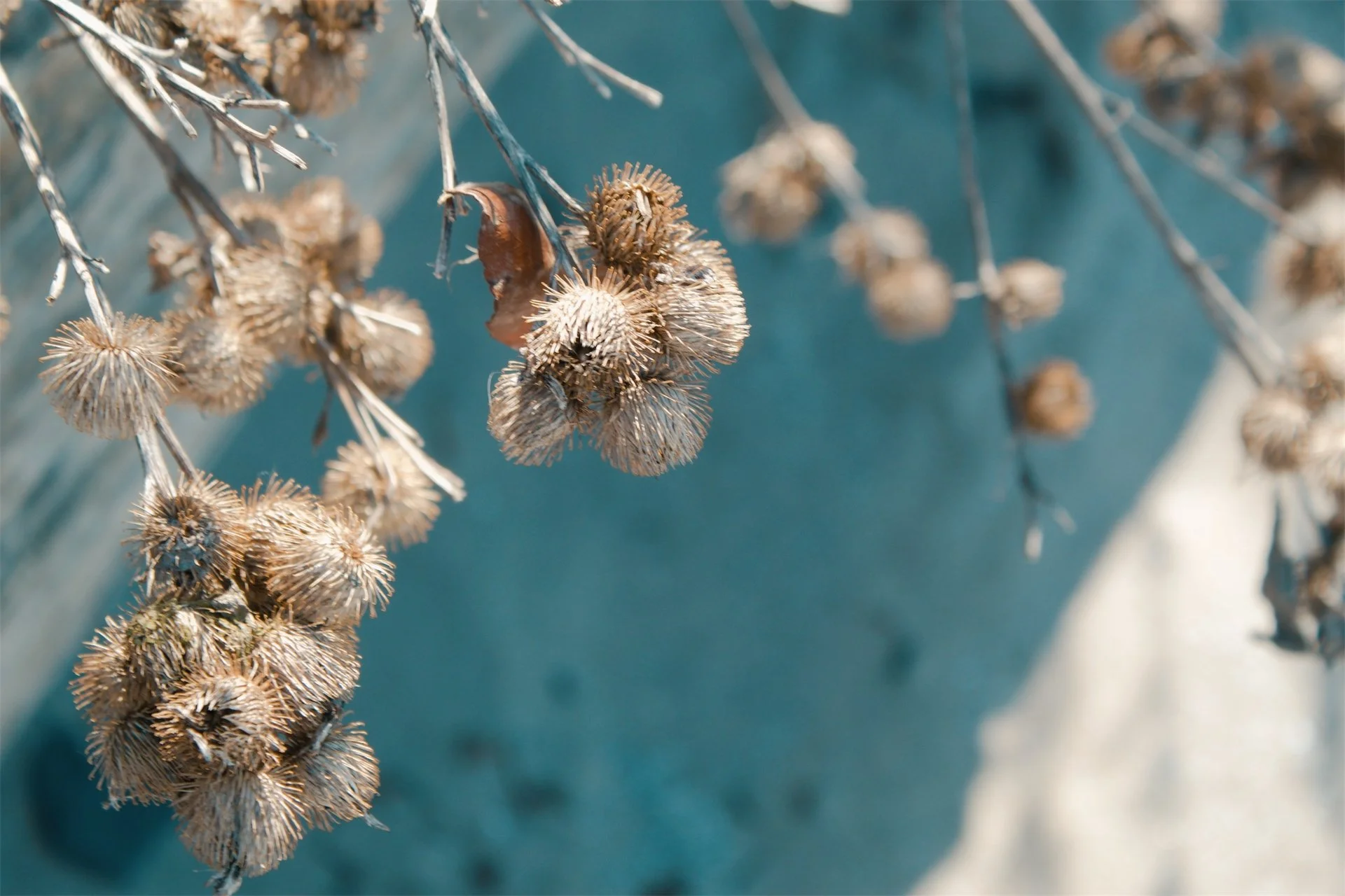 Lake Erie Vermilion OH, 2026