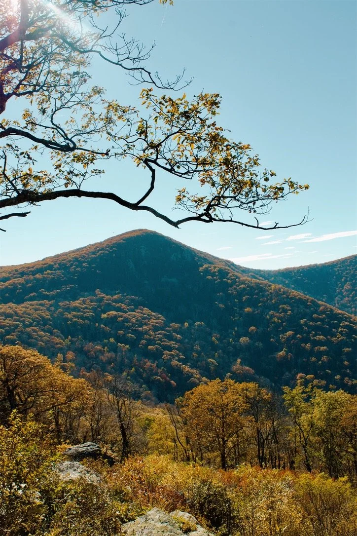Shenandoah National Park VA, 2025