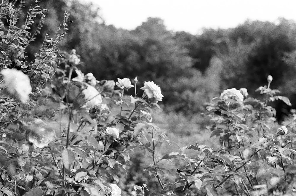 State Botanical Garden GA, 2022