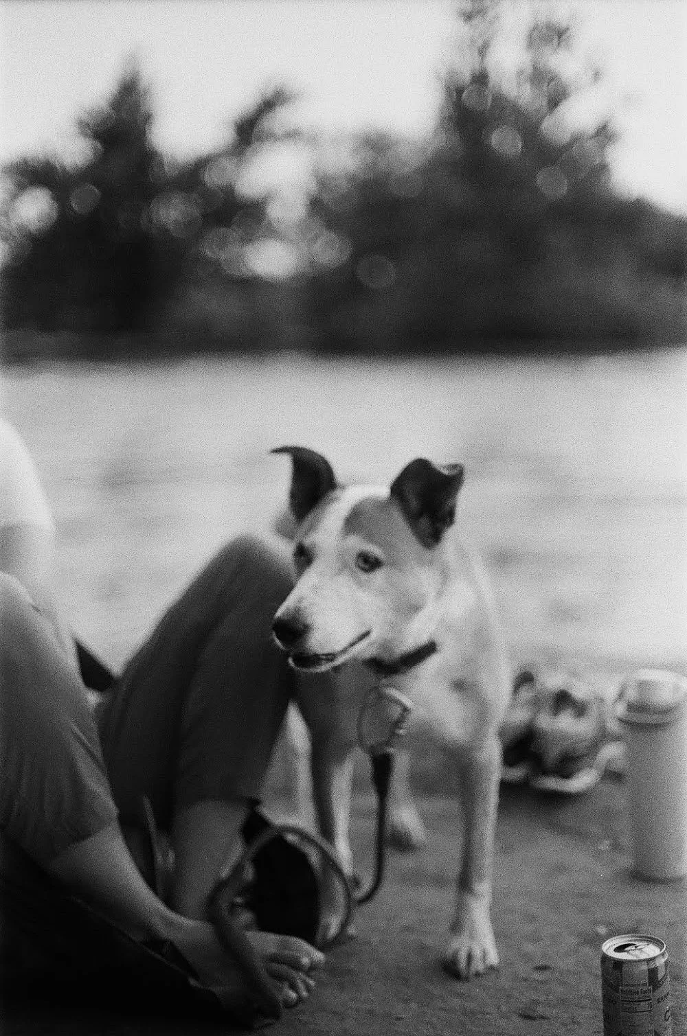 Belle Isle Richmond VA, 2025