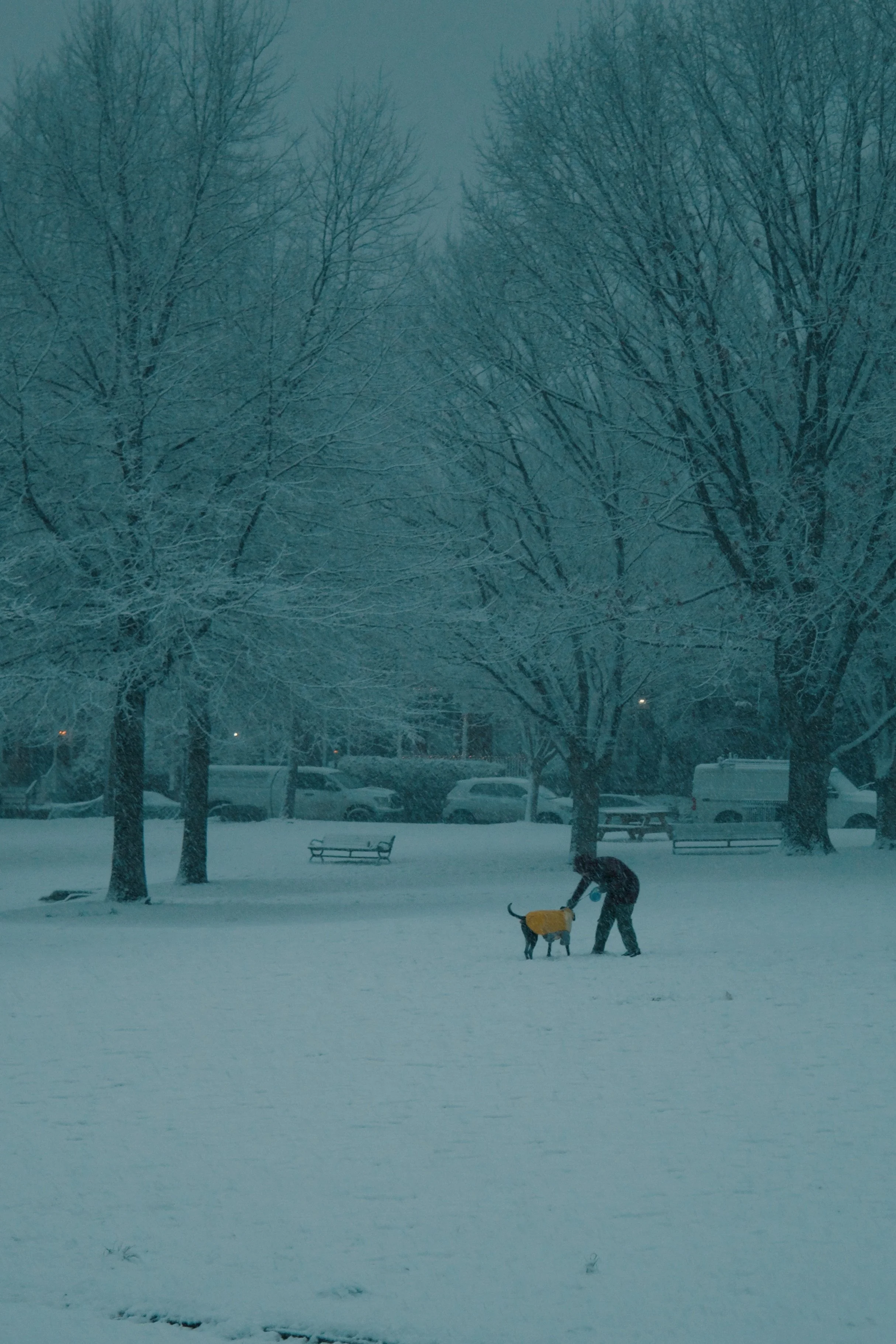 Church Hill Richmond VA, 2026