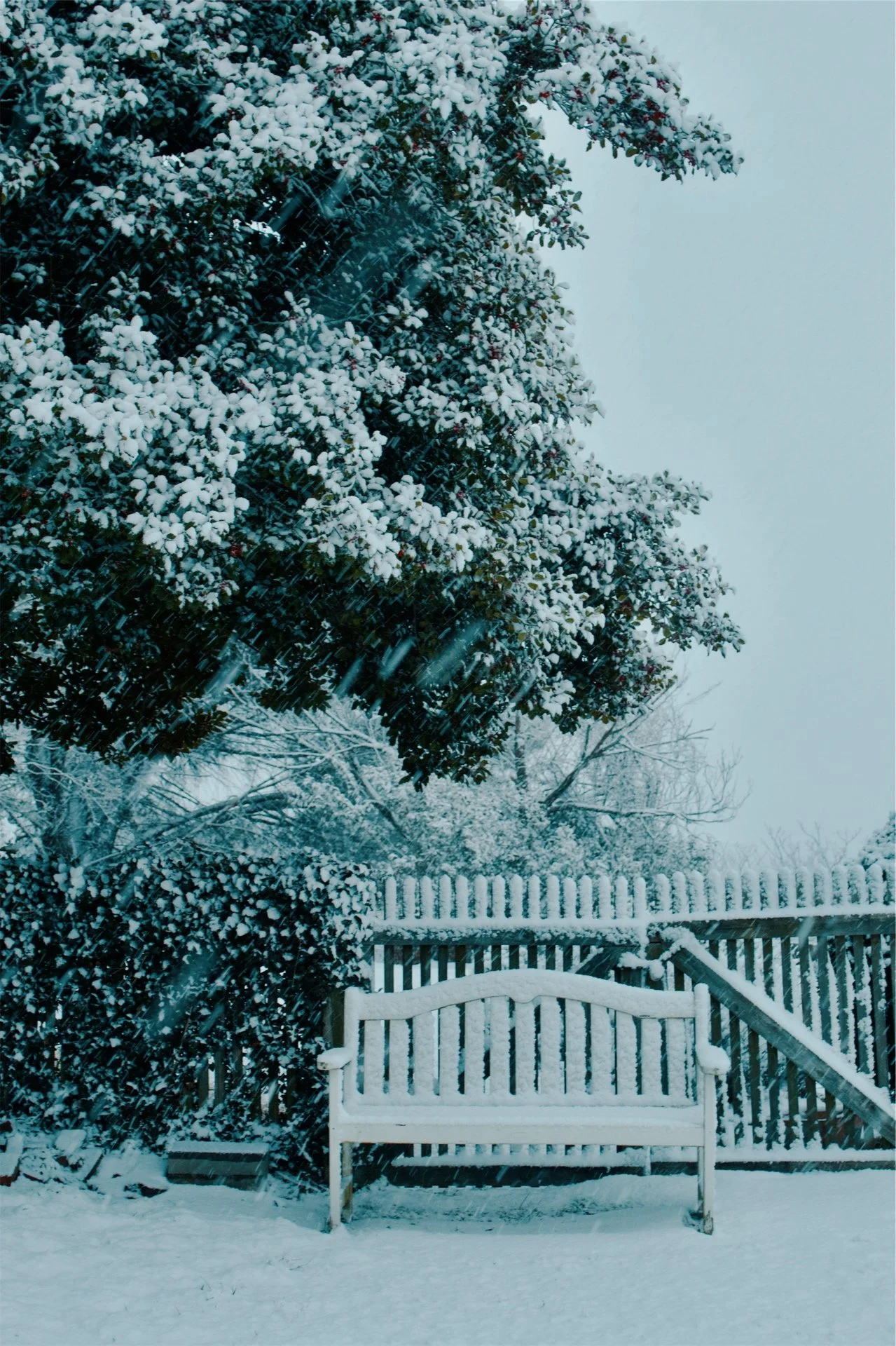 Church Hill Richmond VA, 2026