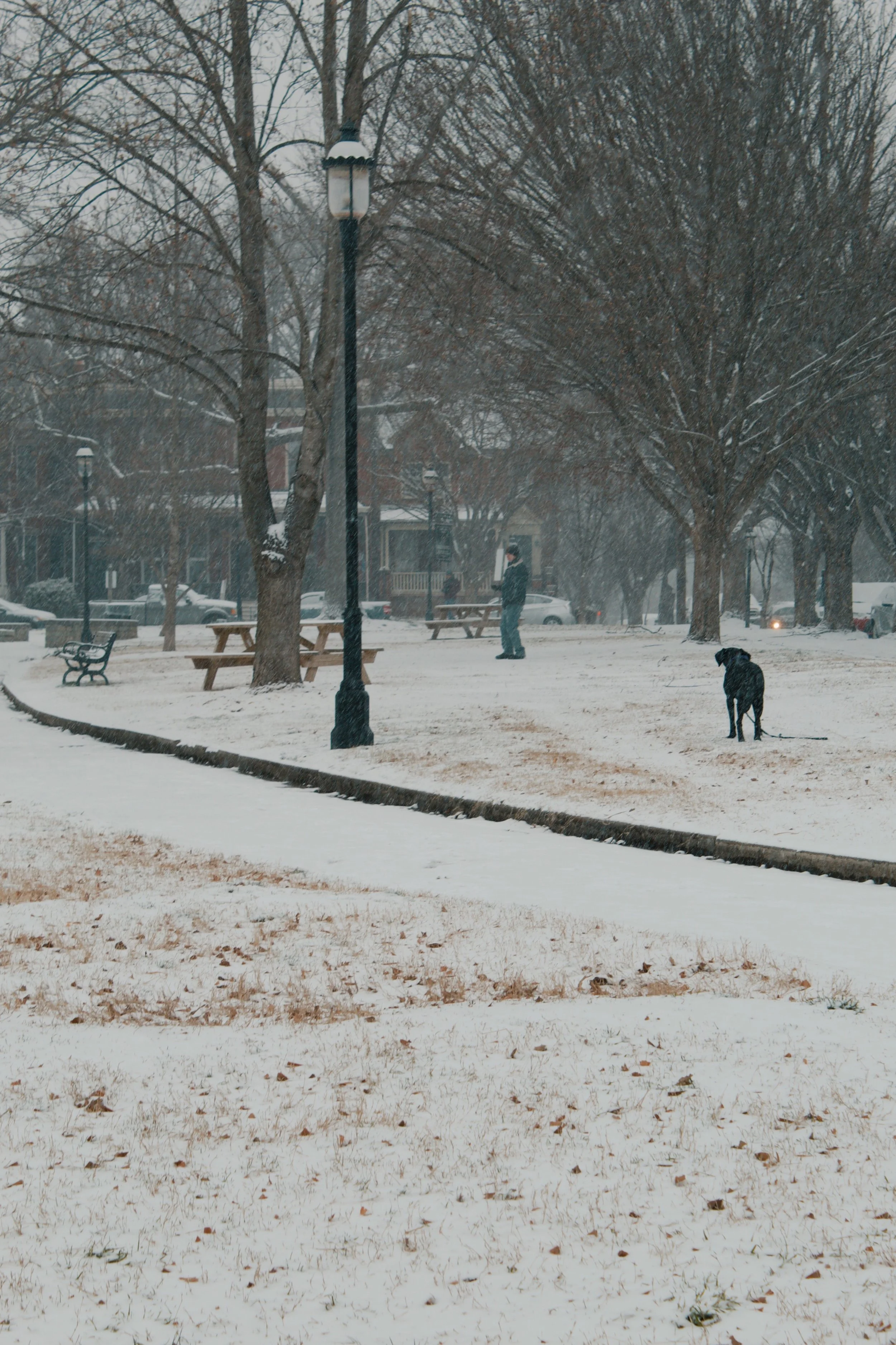 Church Hill Richmond VA, 2025