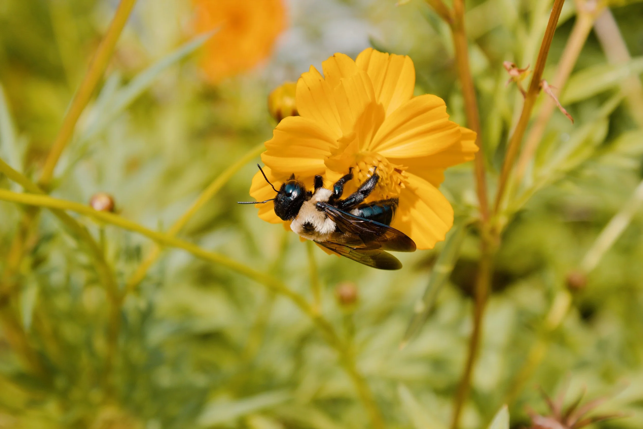 Church Hill Richmond VA, 2024